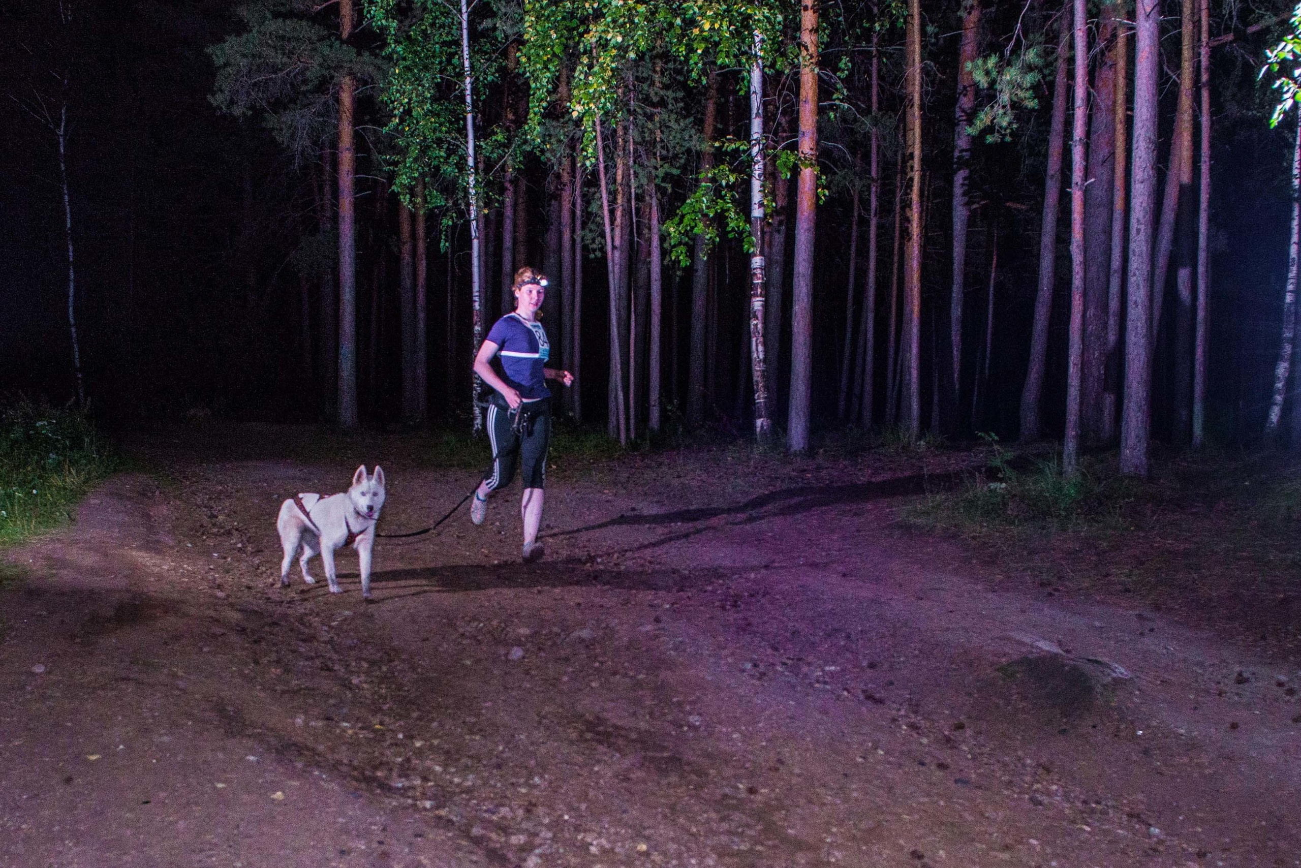 Дог-фестиваль 02.09.2017 Уктус Ночной след. Свадебный фотограф на Урале Виктор Соколов
