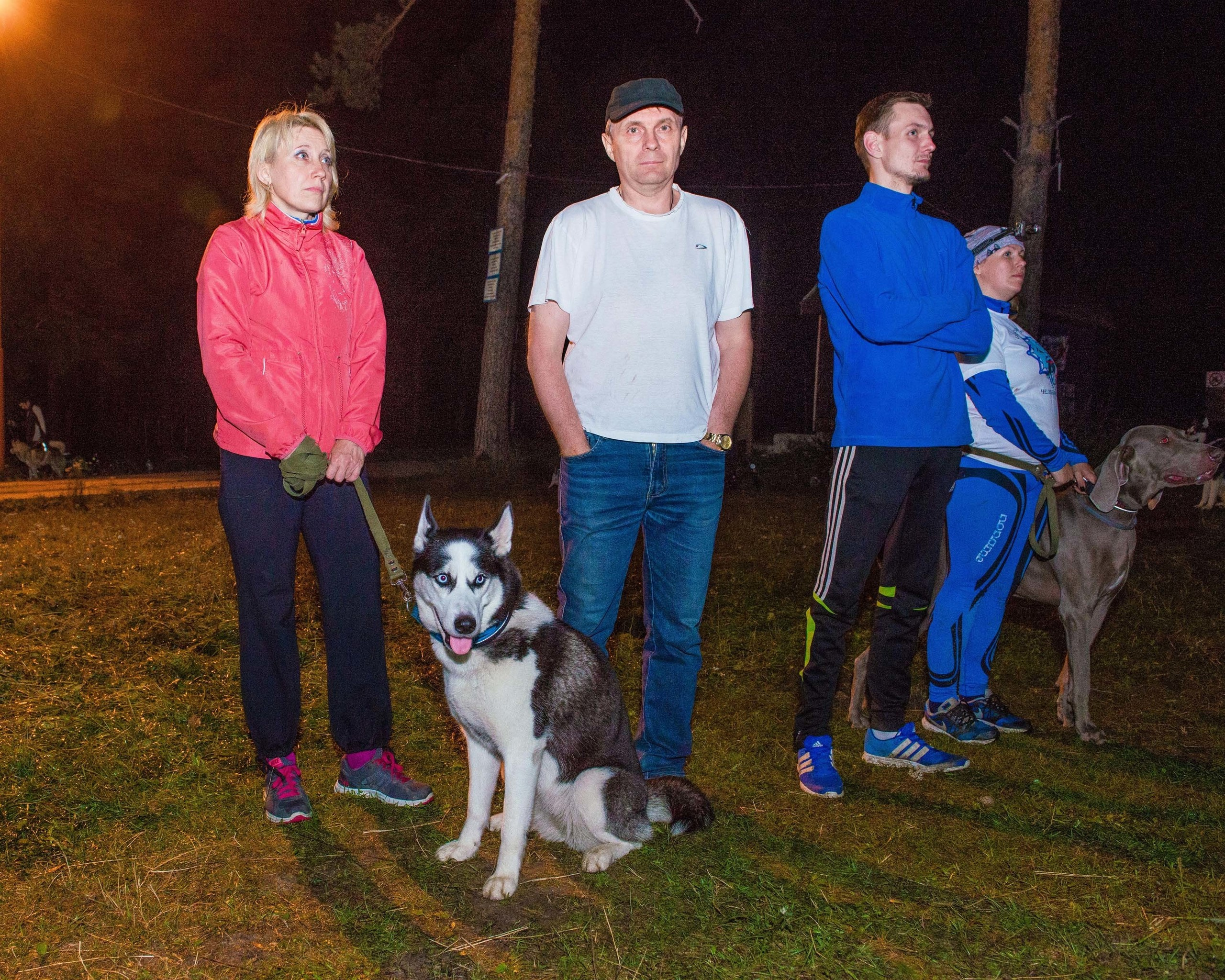 Дог-фестиваль 02.09.2017 Уктус Ночной след. Свадебный фотограф на Урале Виктор Соколов