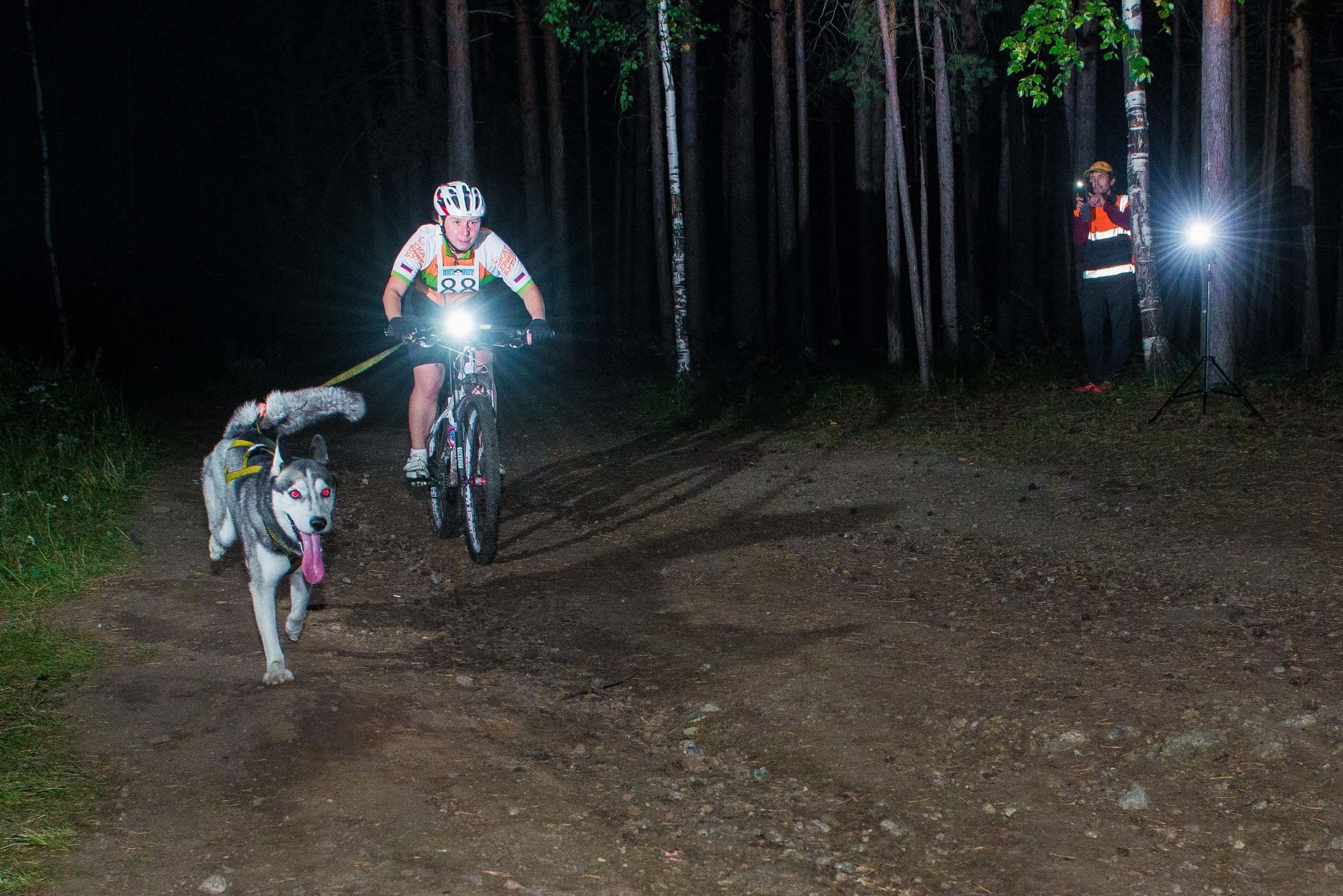 Дог-фестиваль 02.09.2017 Уктус Ночной след. Свадебный фотограф на Урале Виктор Соколов