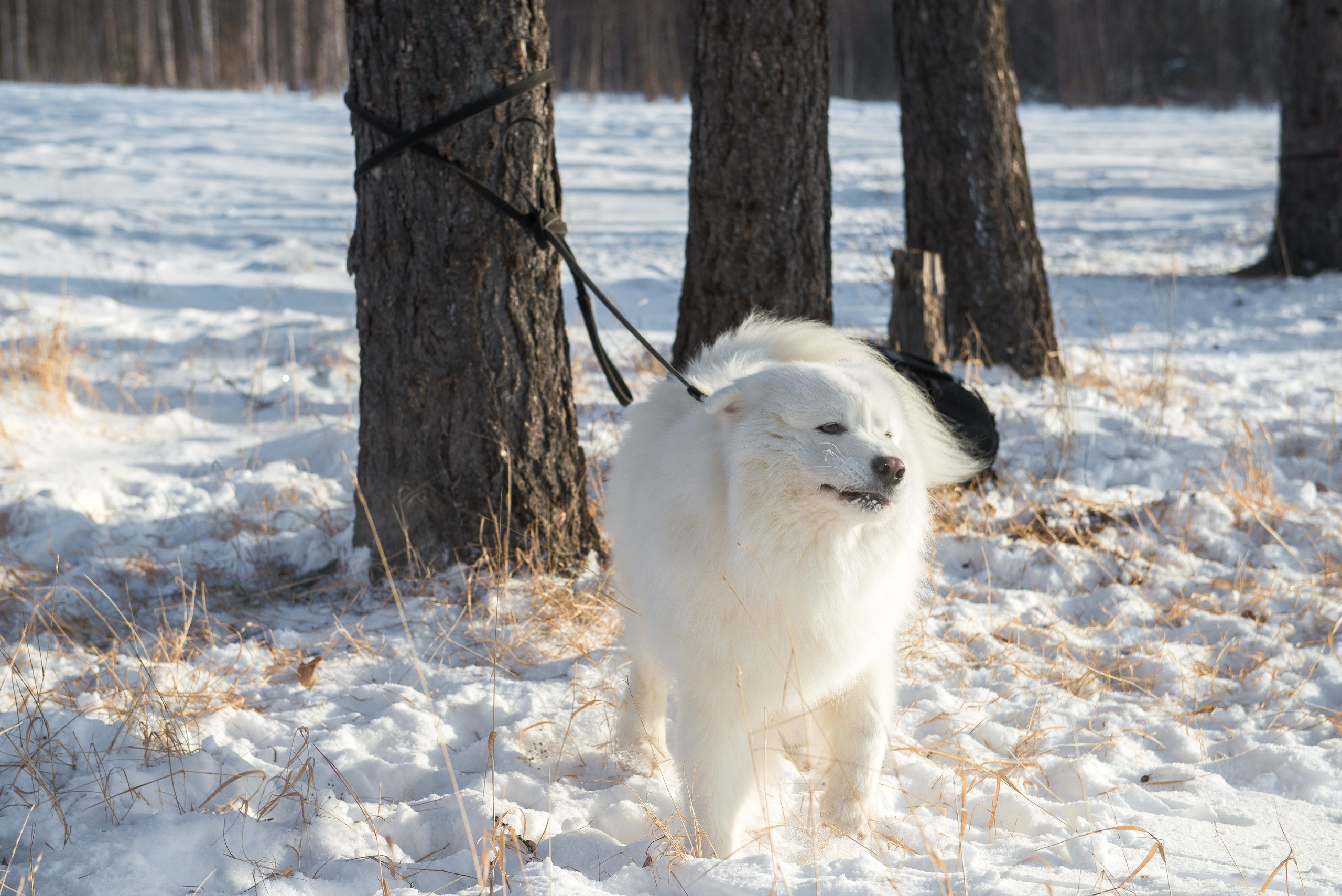10 лет клубу Хэй-Хэй. Свадебный фотограф на Урале Виктор Соколов