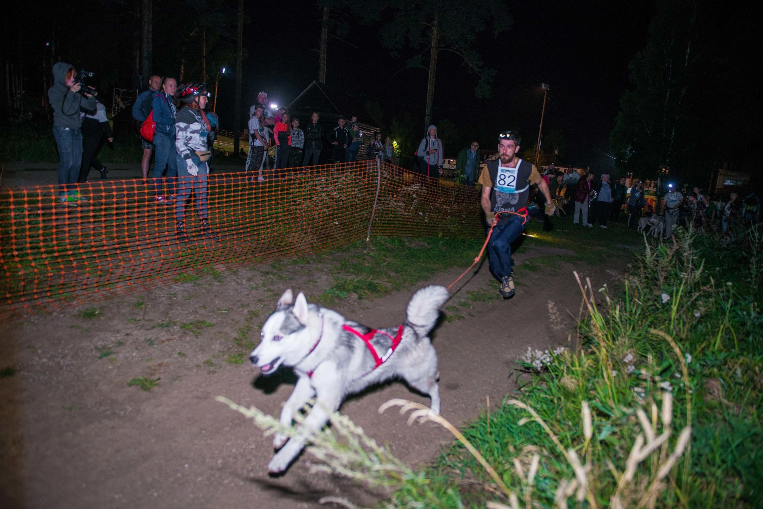 Дог-фестиваль 02.09.2017 Уктус Ночной след. Свадебный фотограф на Урале Виктор Соколов