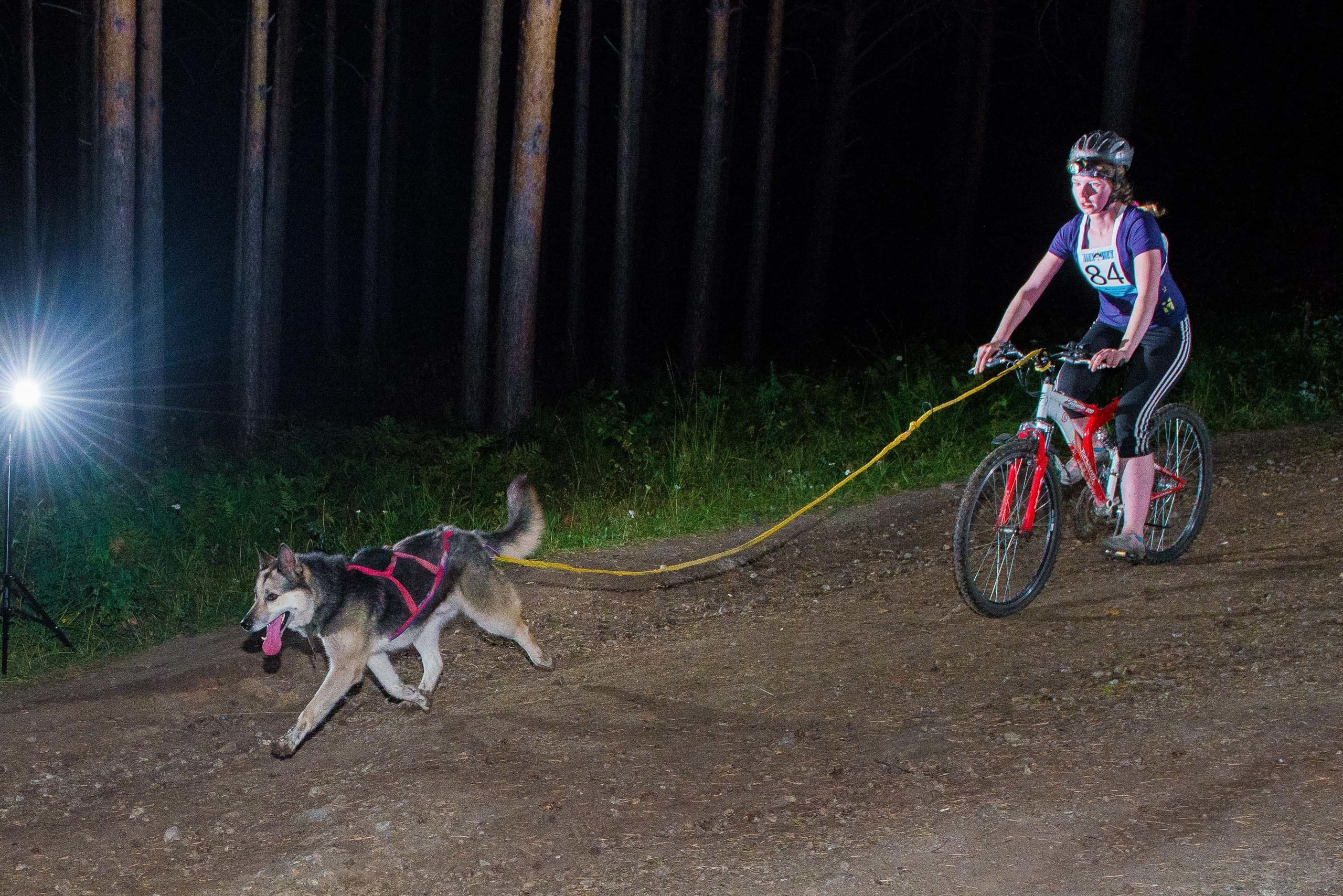 Дог-фестиваль 02.09.2017 Уктус Ночной след. Свадебный фотограф на Урале Виктор Соколов