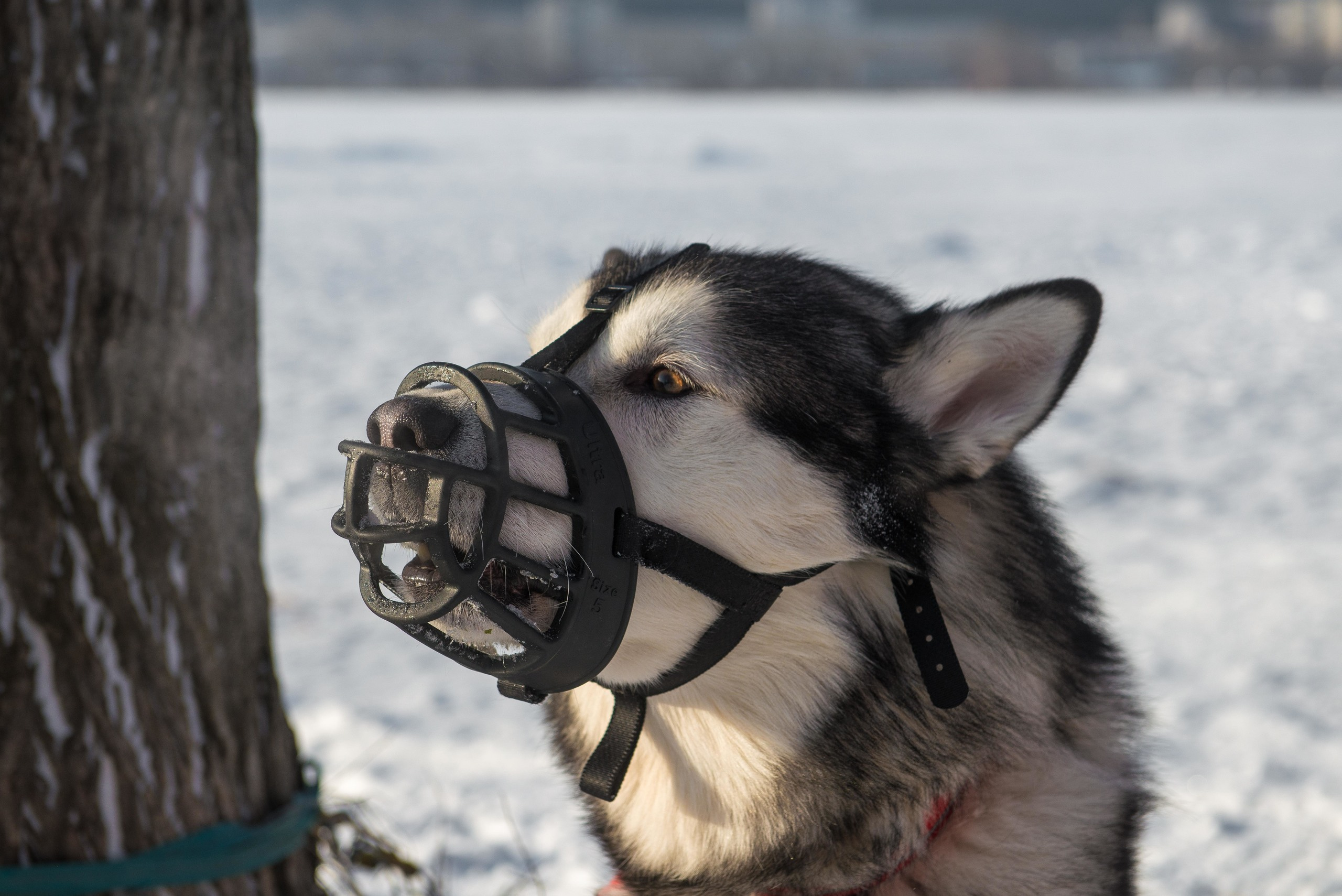 10 лет клубу Хэй-Хэй. Свадебный фотограф на Урале Виктор Соколов