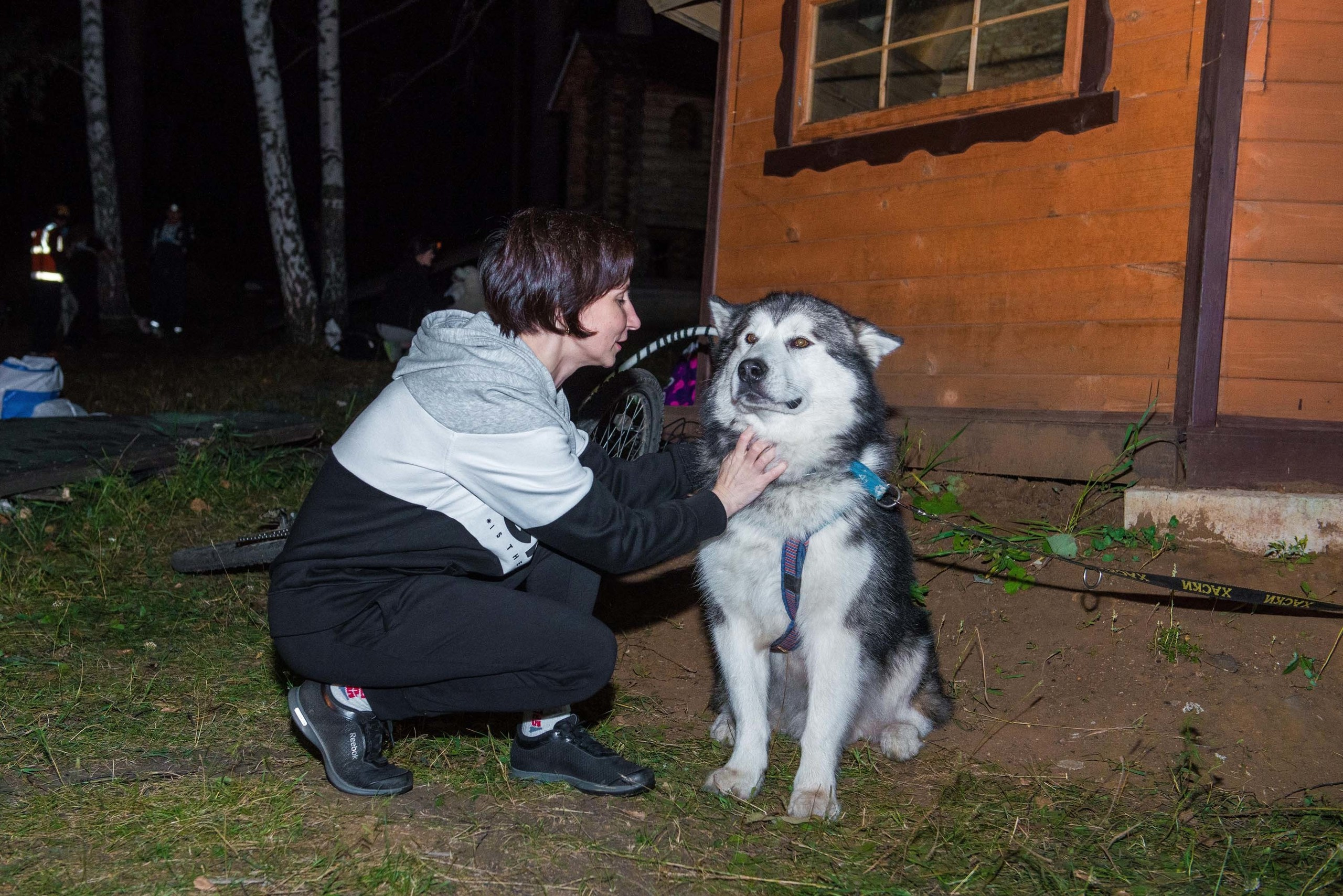Дог-фестиваль 02.09.2017 Уктус Ночной след. Свадебный фотограф на Урале Виктор Соколов
