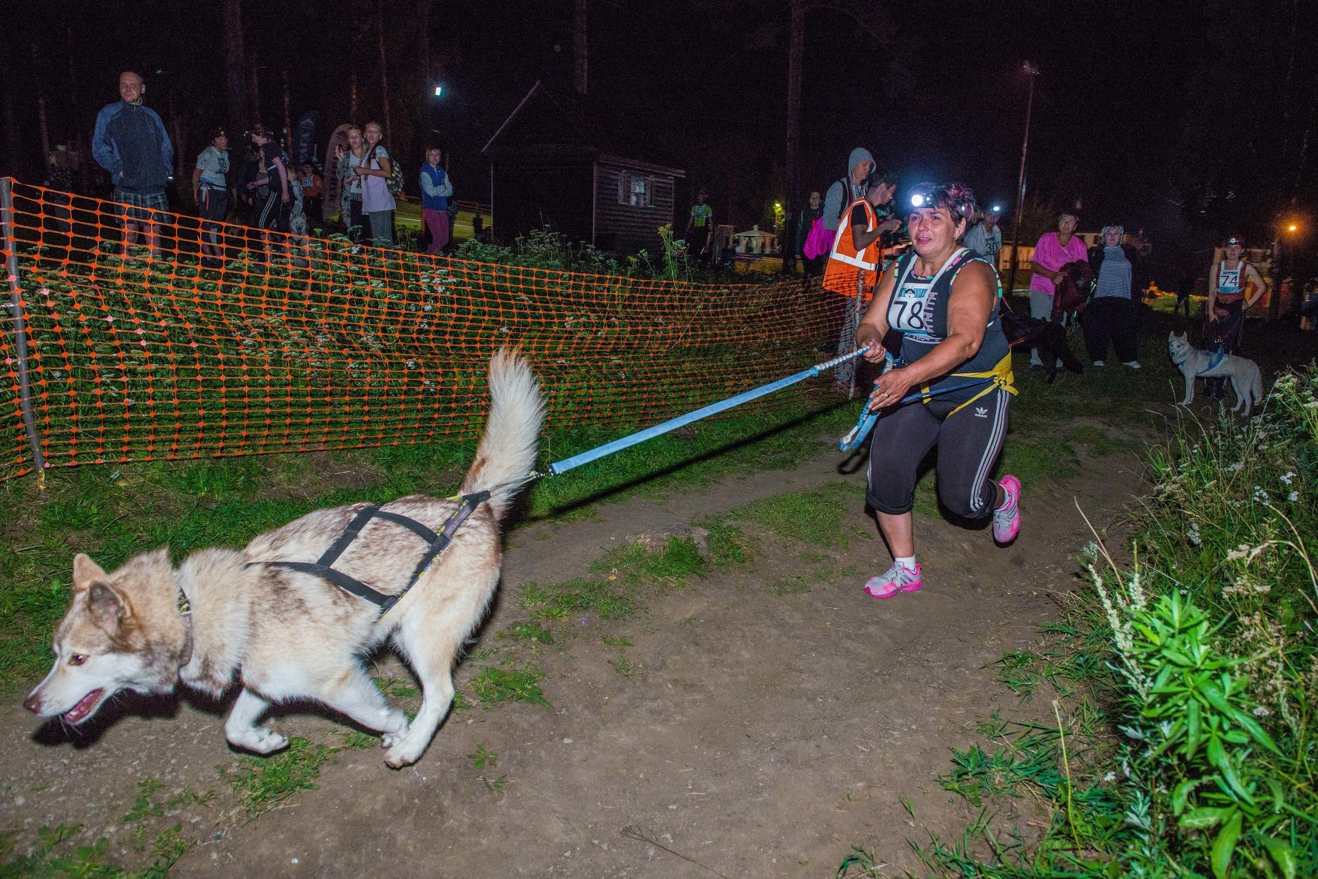Дог-фестиваль 02.09.2017 Уктус Ночной след. Свадебный фотограф на Урале Виктор Соколов