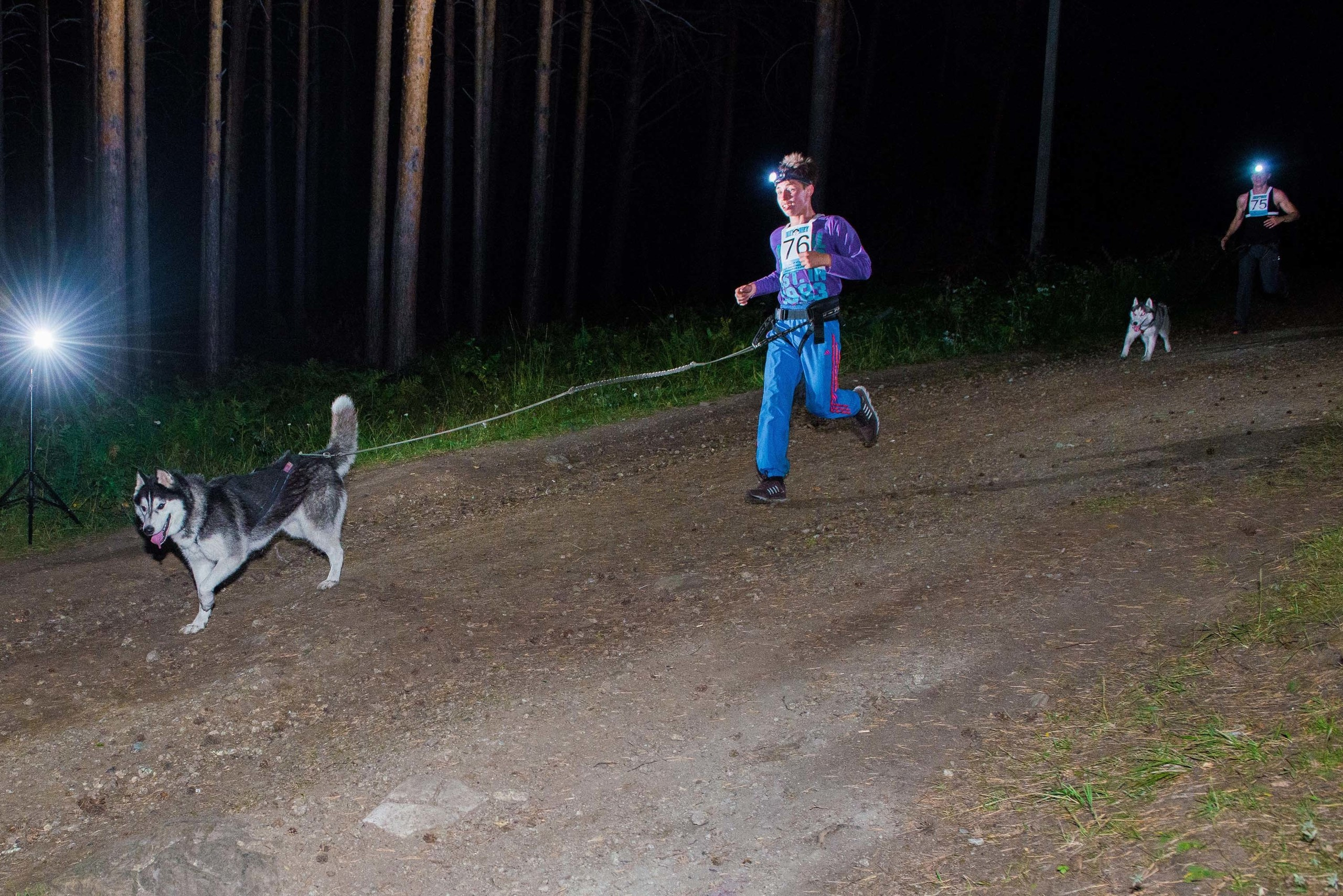 Дог-фестиваль 02.09.2017 Уктус Ночной след. Свадебный фотограф на Урале Виктор Соколов