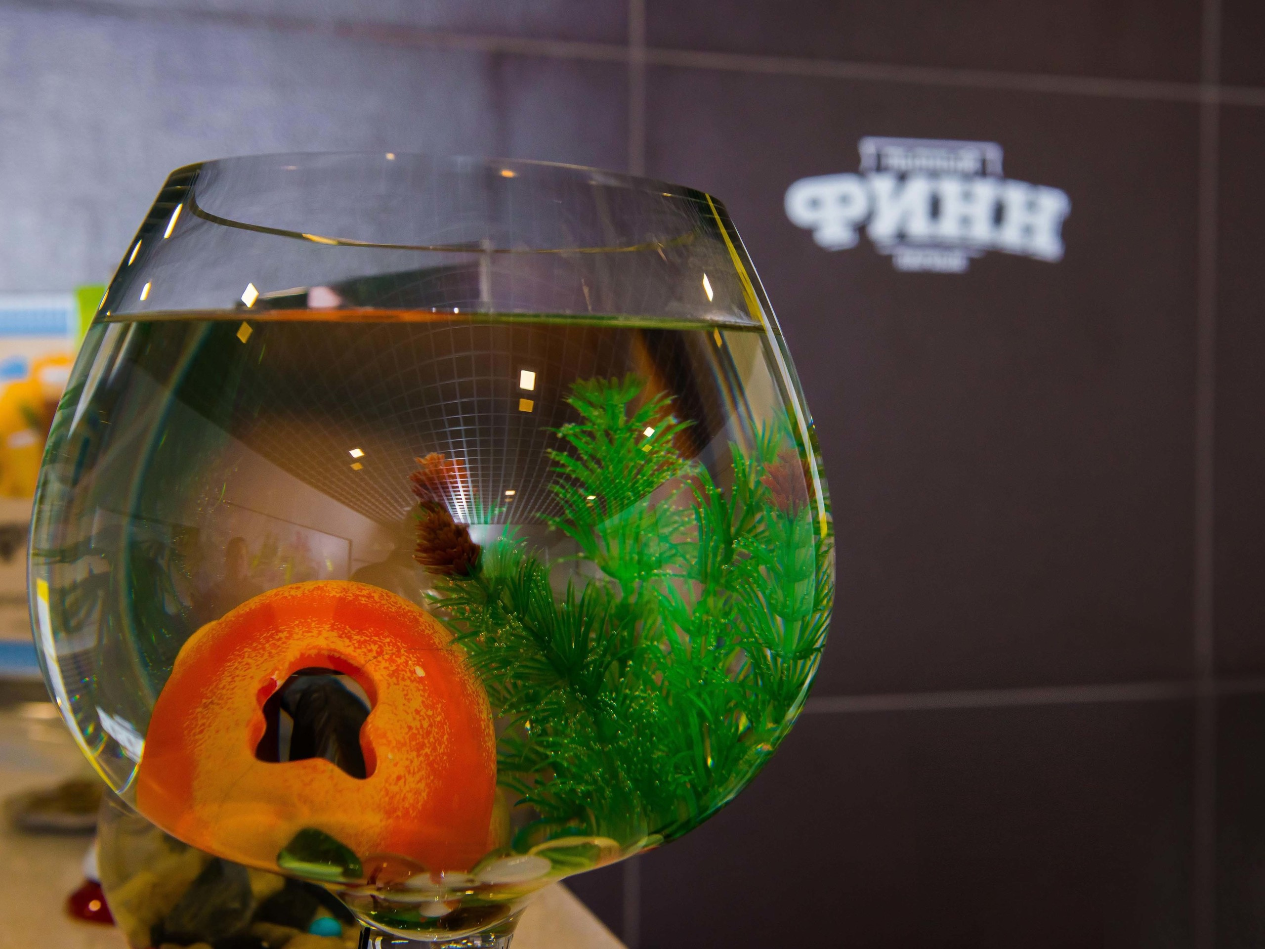 Пьяный финн. Свадебный фотограф на Урале Виктор Соколов