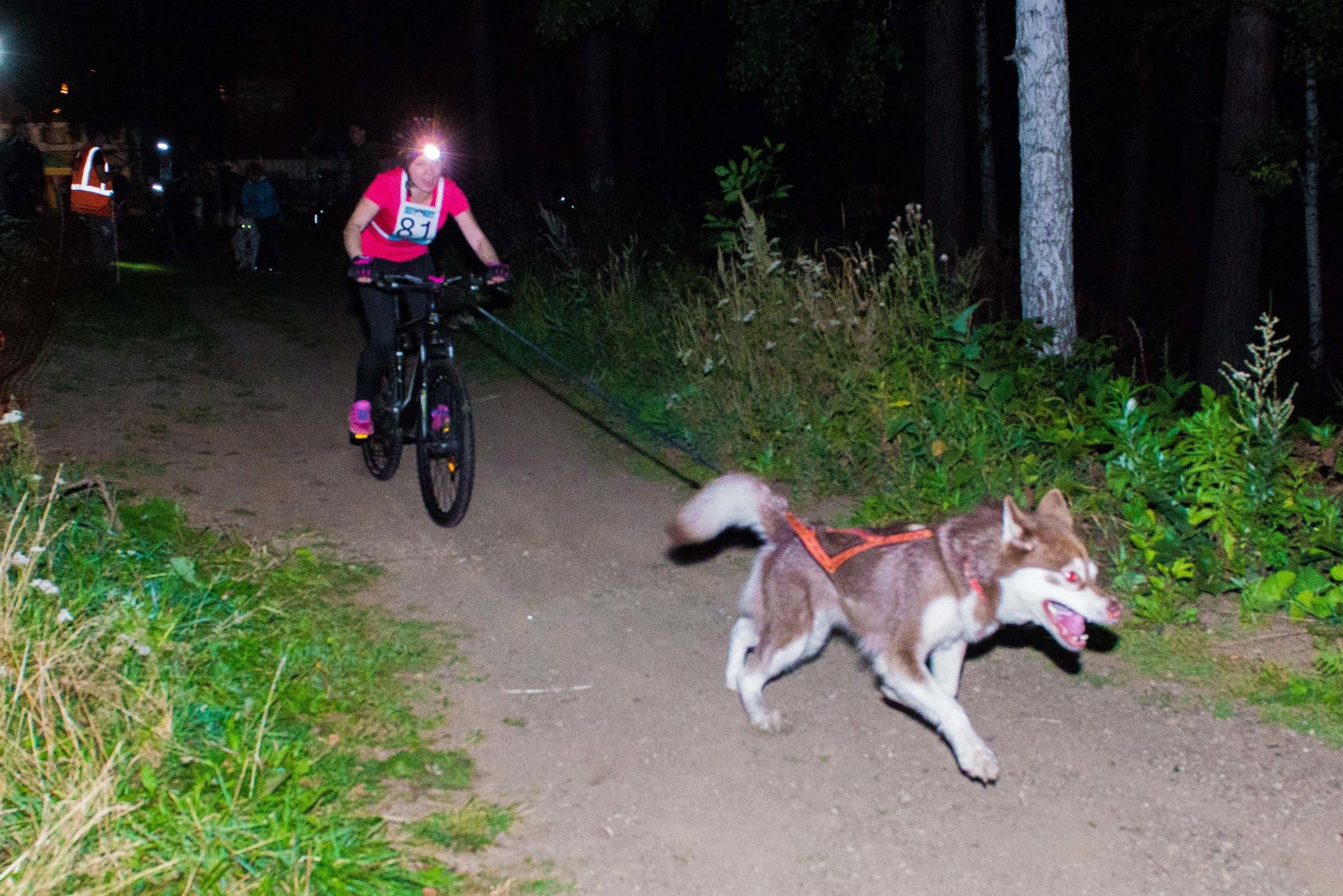 Дог-фестиваль 02.09.2017 Уктус Ночной след. Свадебный фотограф на Урале Виктор Соколов