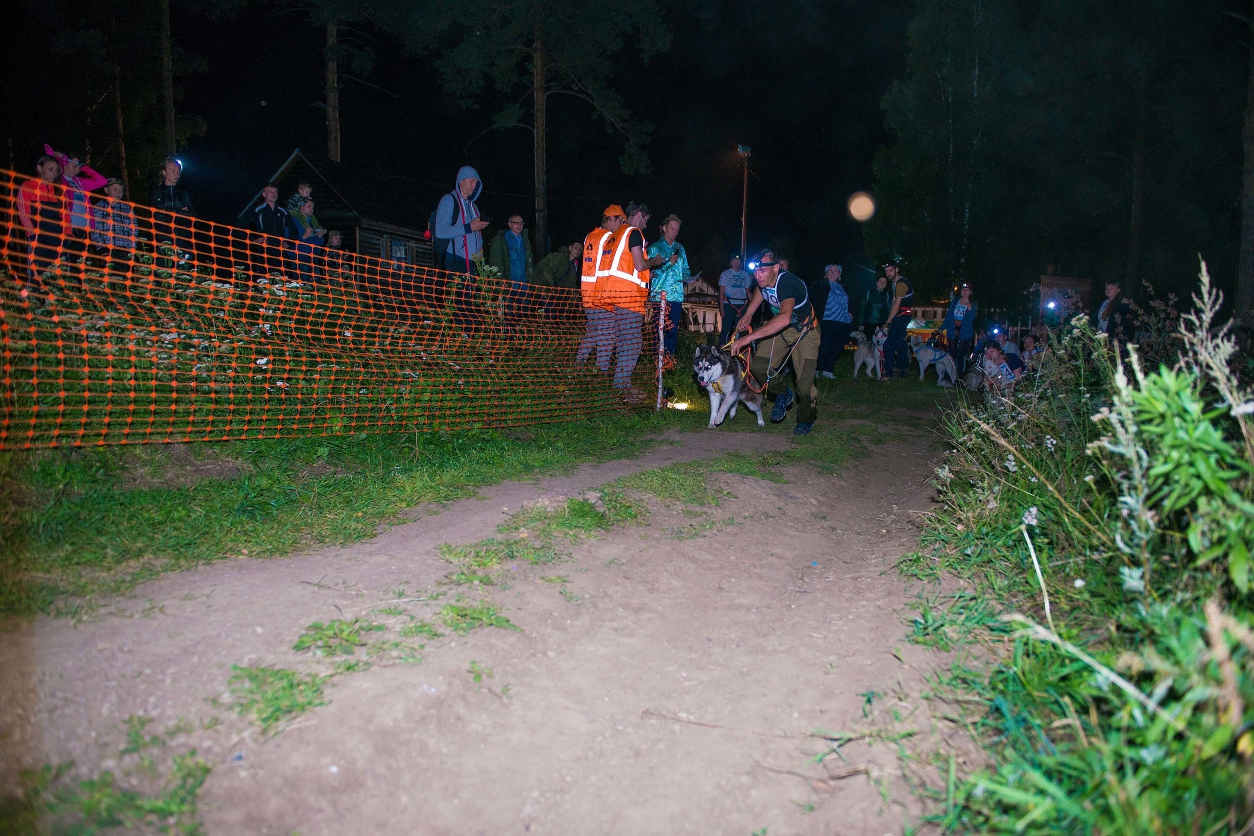 Дог-фестиваль 02.09.2017 Уктус Ночной след. Свадебный фотограф на Урале Виктор Соколов