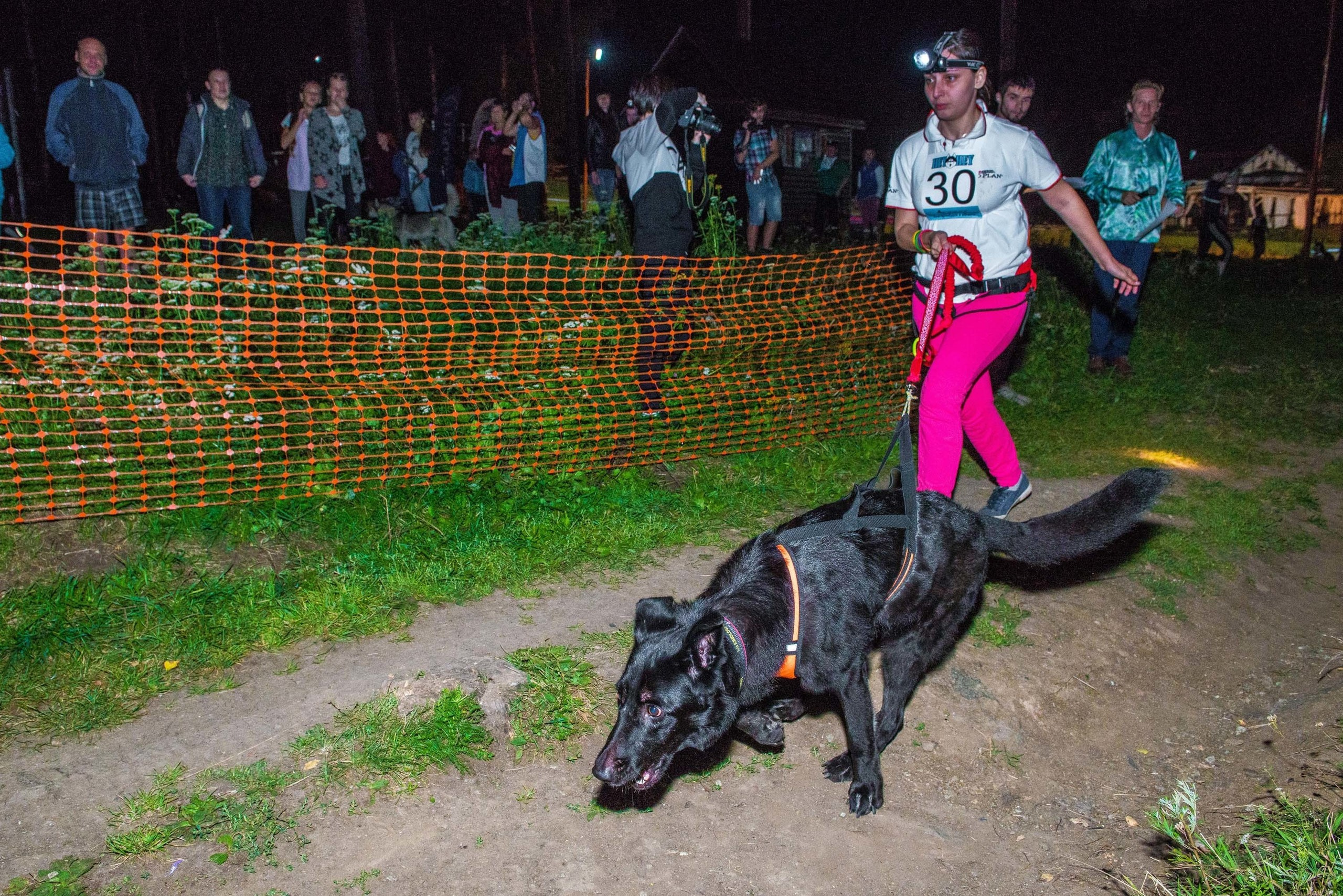 Дог-фестиваль 02.09.2017 Уктус Ночной след. Свадебный фотограф на Урале Виктор Соколов