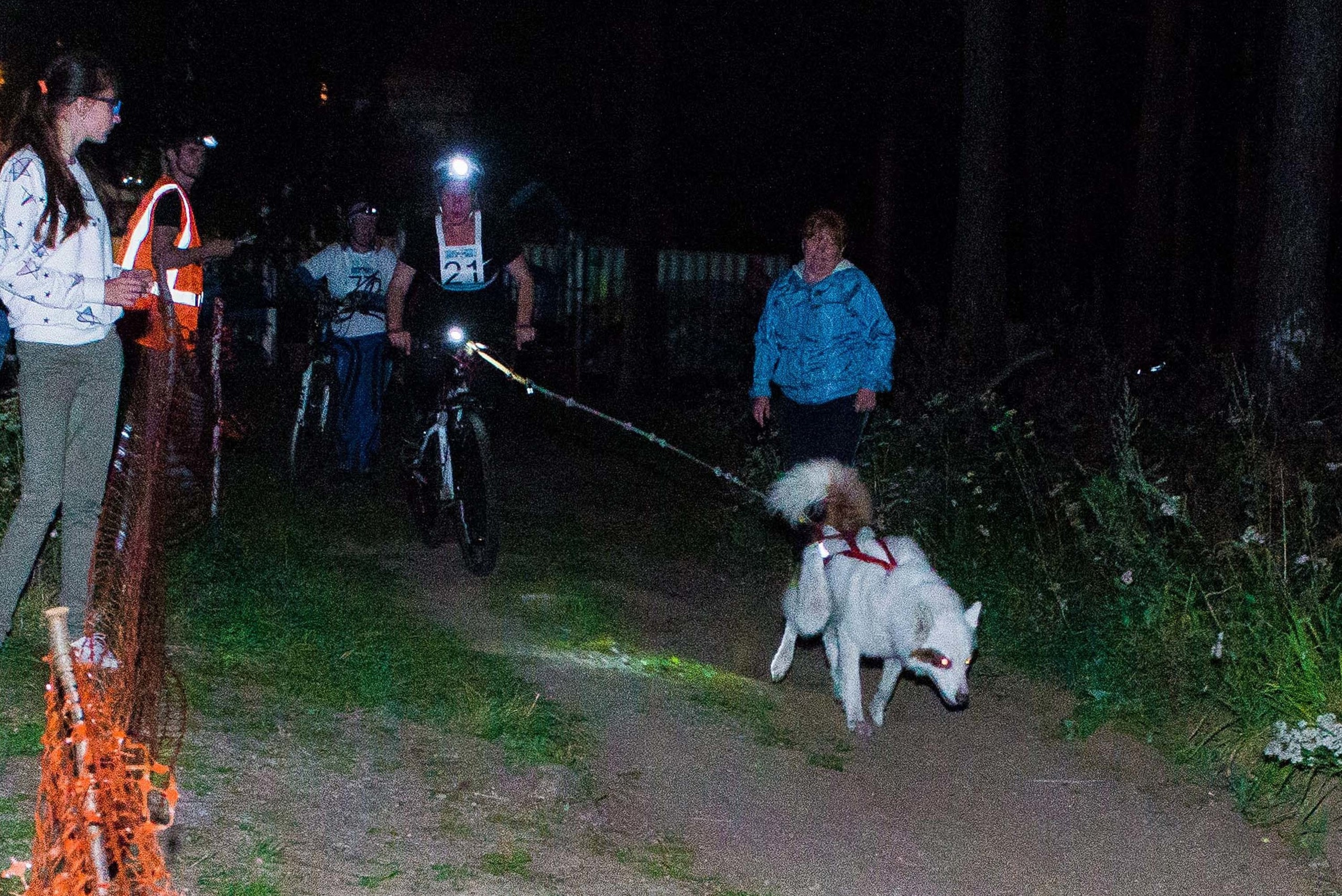 Дог-фестиваль 02.09.2017 Уктус Ночной след. Свадебный фотограф на Урале Виктор Соколов