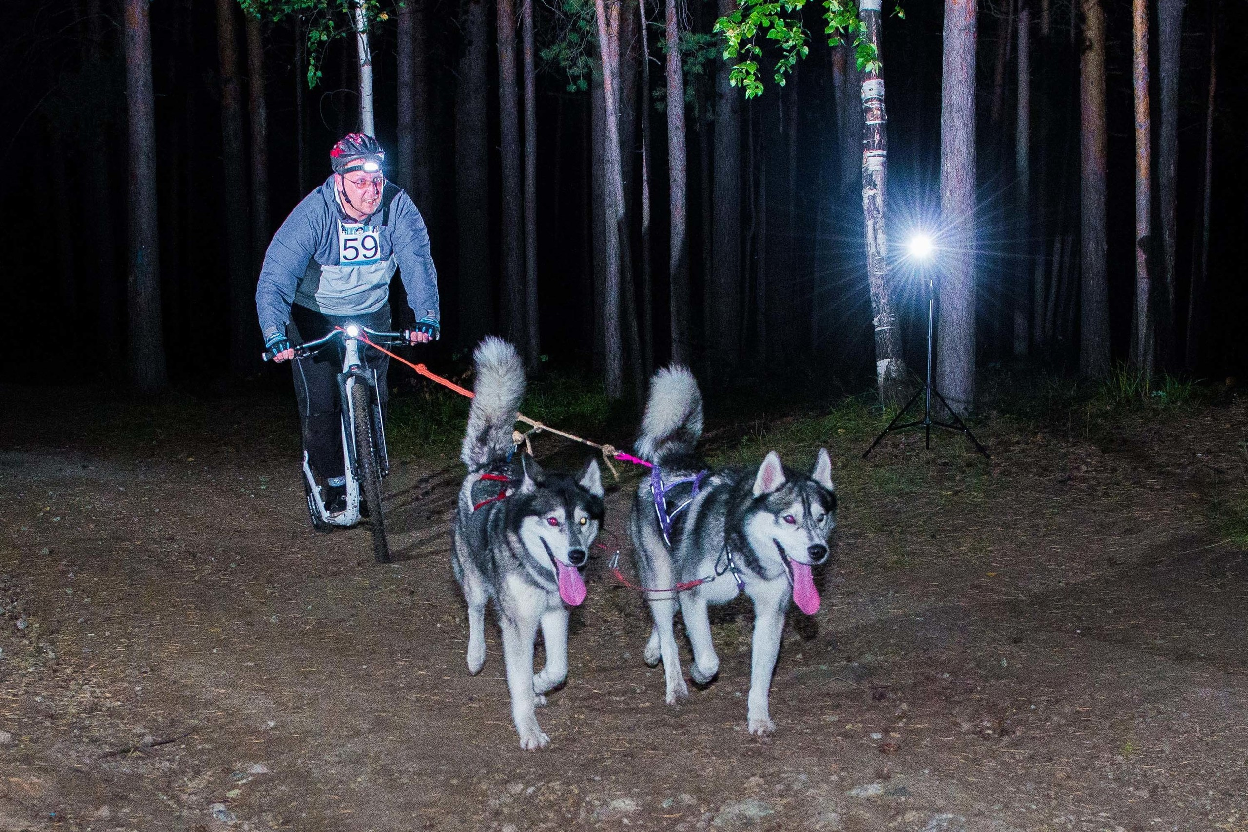 Дог-фестиваль 02.09.2017 Уктус Ночной след. Свадебный фотограф на Урале Виктор Соколов