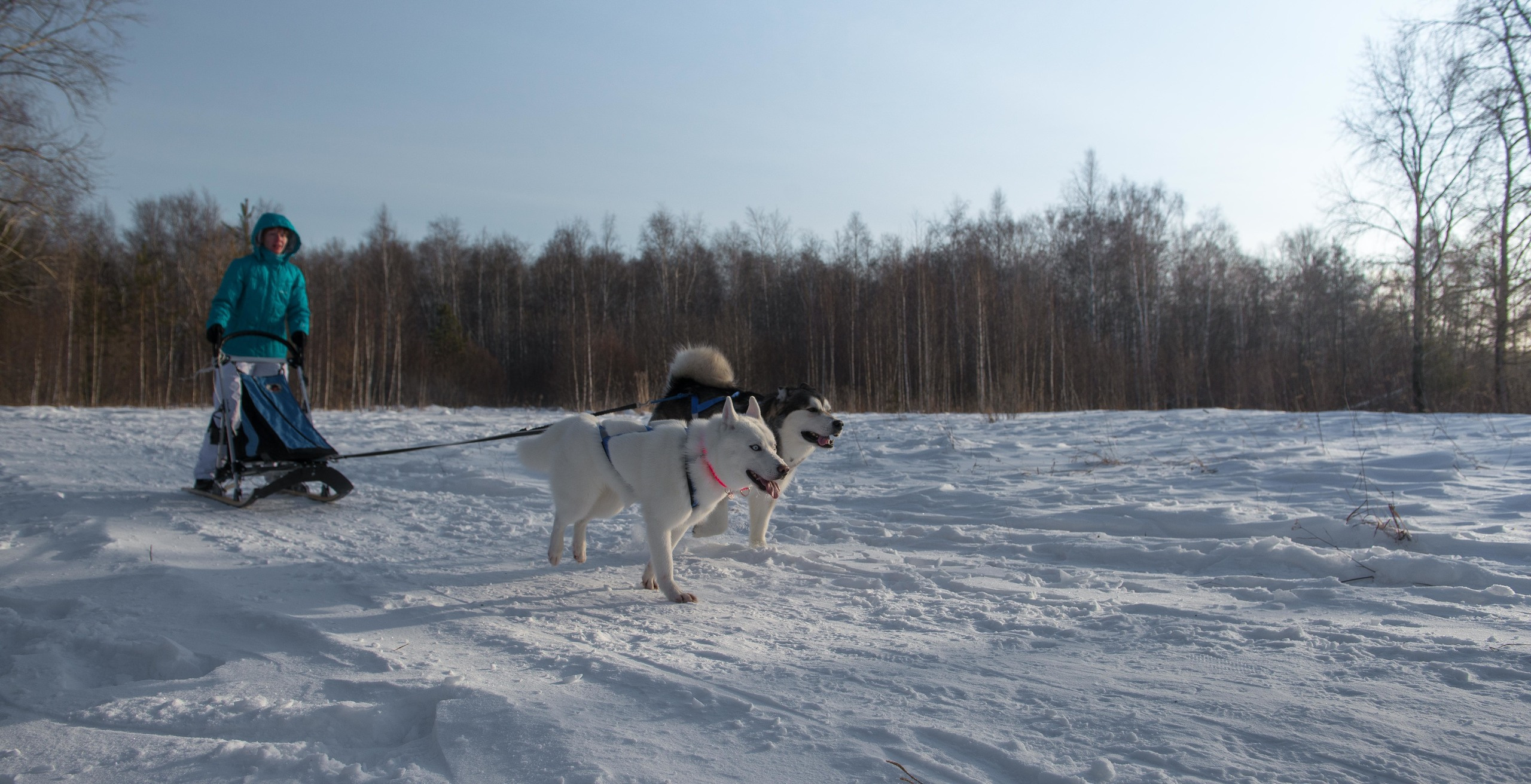 10 лет клубу Хэй-Хэй. Свадебный фотограф на Урале Виктор Соколов