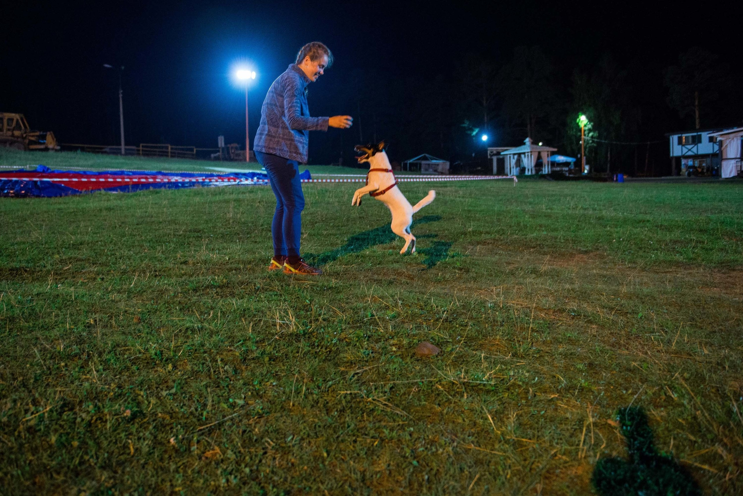 Дог-фестиваль 02.09.2017 Уктус Ночной след. Свадебный фотограф на Урале Виктор Соколов