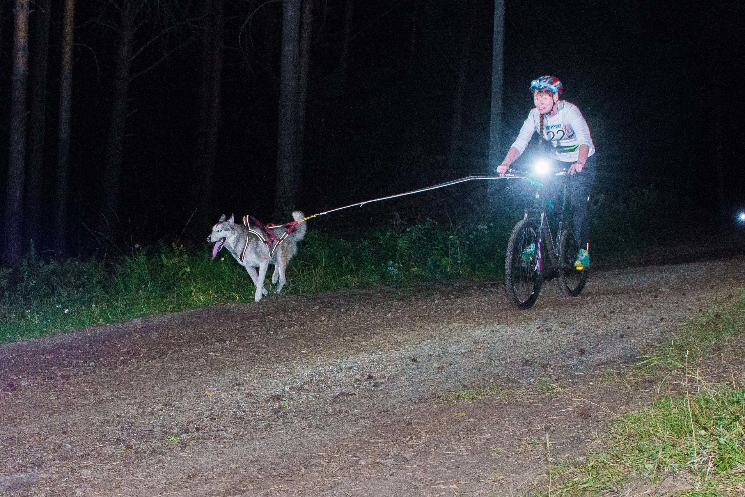 Дог-фестиваль 02.09.2017 Уктус Ночной след. Свадебный фотограф на Урале Виктор Соколов