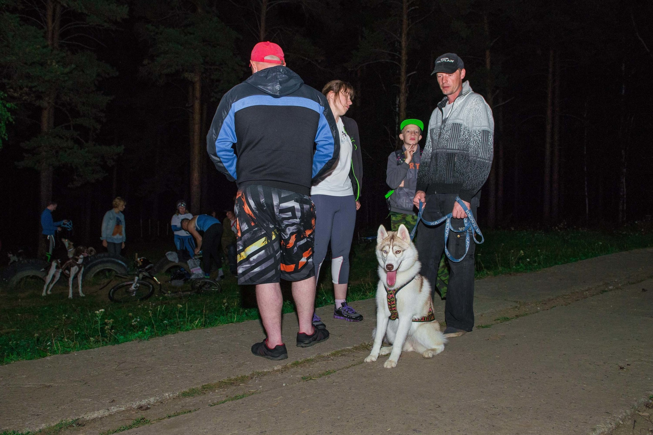 Дог-фестиваль 02.09.2017 Уктус Ночной след. Свадебный фотограф на Урале Виктор Соколов