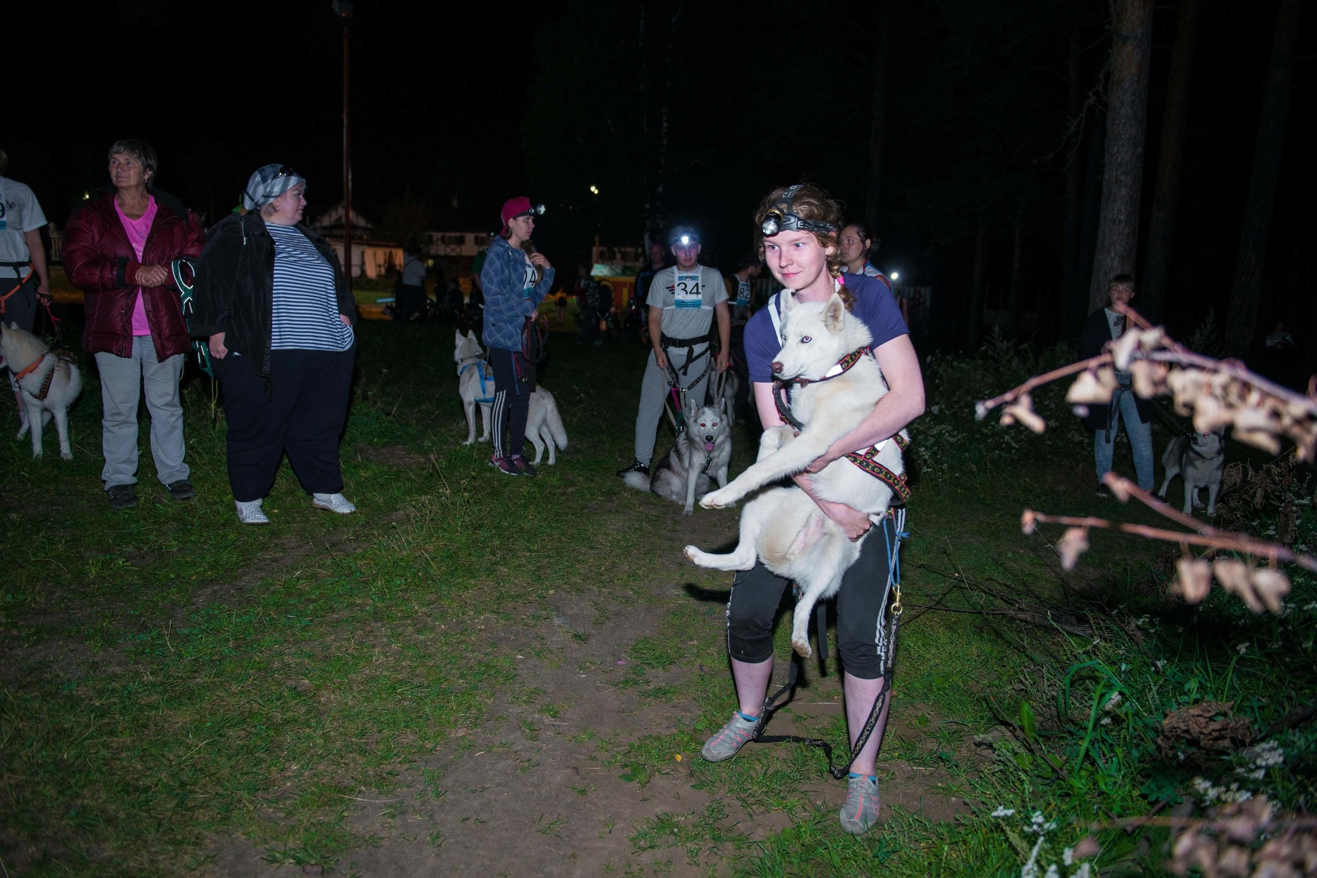 Дог-фестиваль 02.09.2017 Уктус Ночной след. Свадебный фотограф на Урале Виктор Соколов