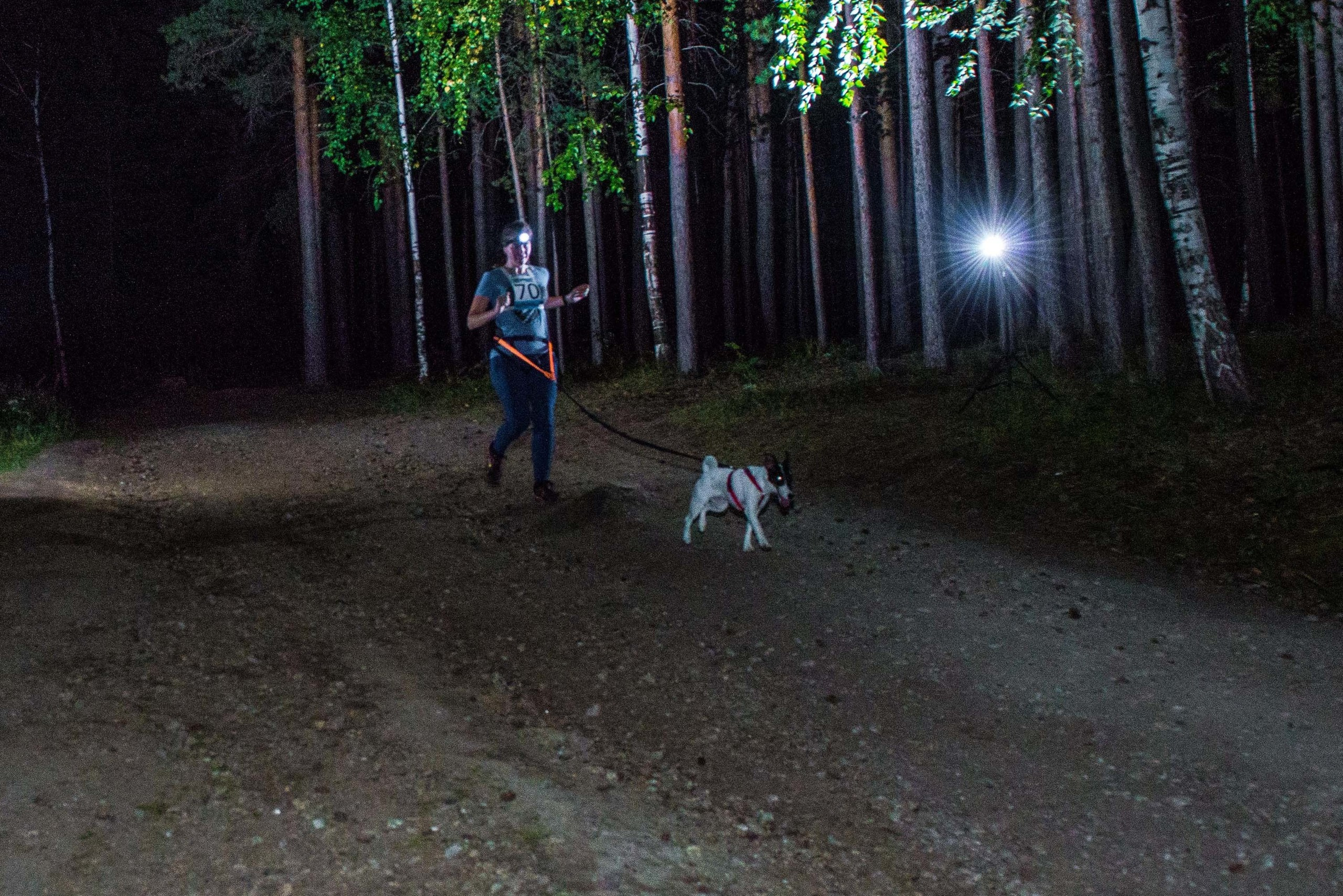 Дог-фестиваль 02.09.2017 Уктус Ночной след. Свадебный фотограф на Урале Виктор Соколов