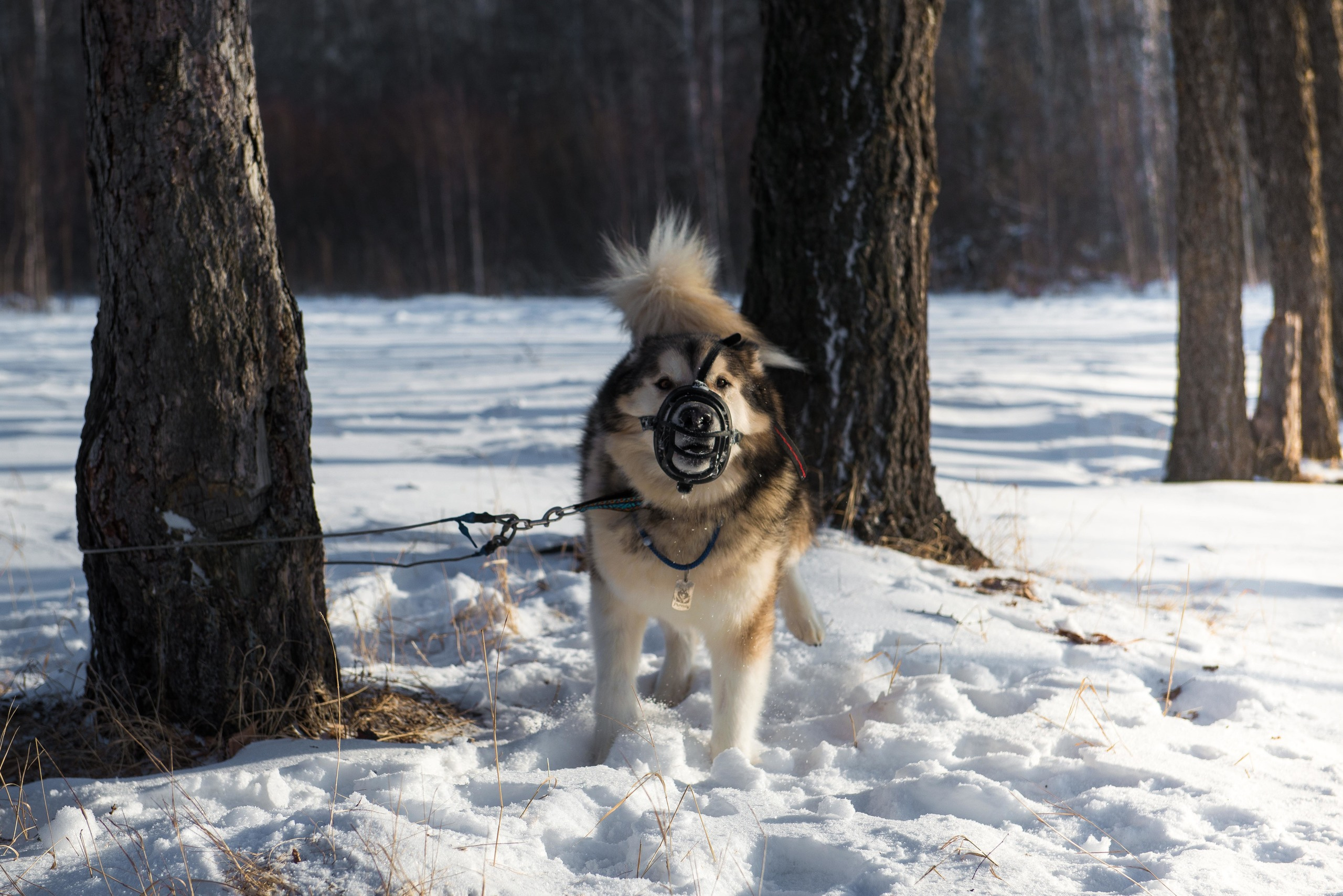 10 лет клубу Хэй-Хэй. Свадебный фотограф на Урале Виктор Соколов