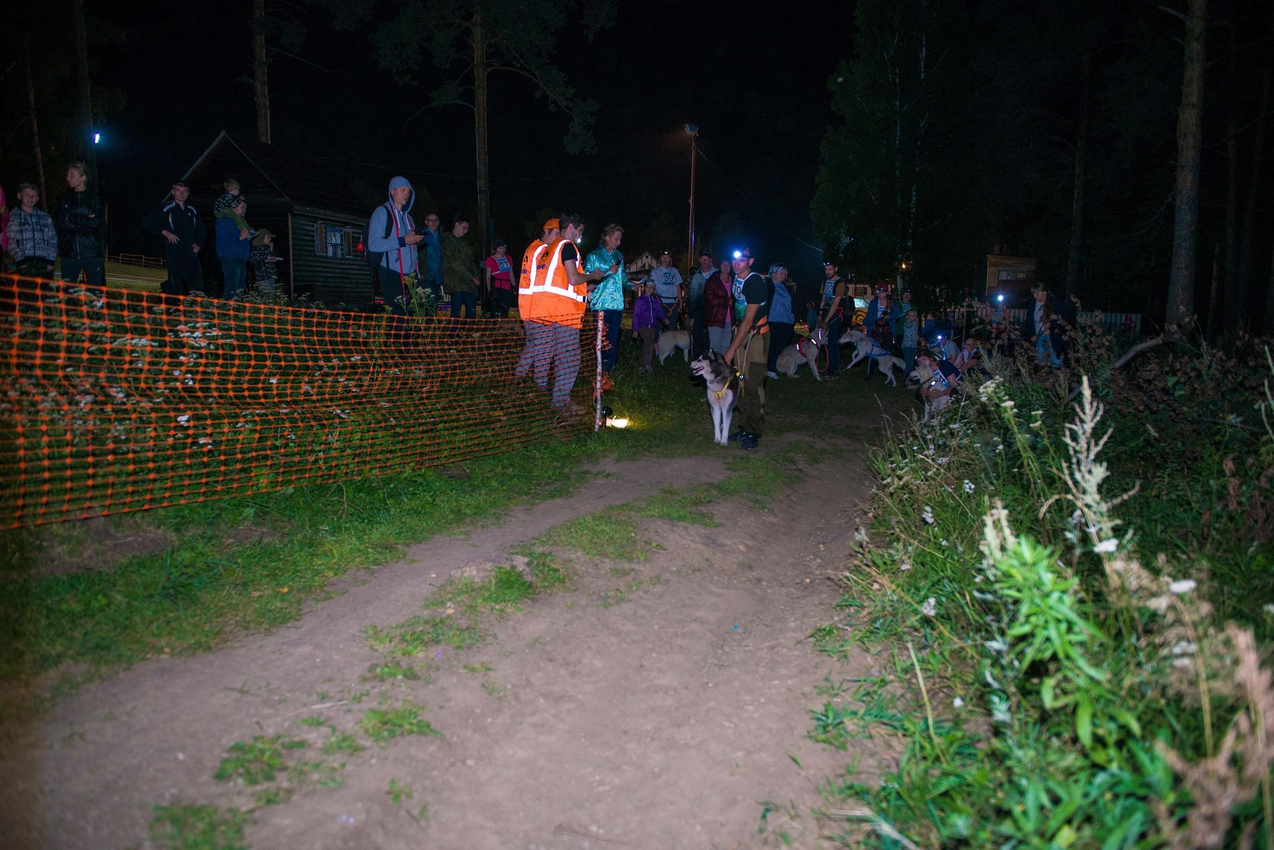 Дог-фестиваль 02.09.2017 Уктус Ночной след. Свадебный фотограф на Урале Виктор Соколов