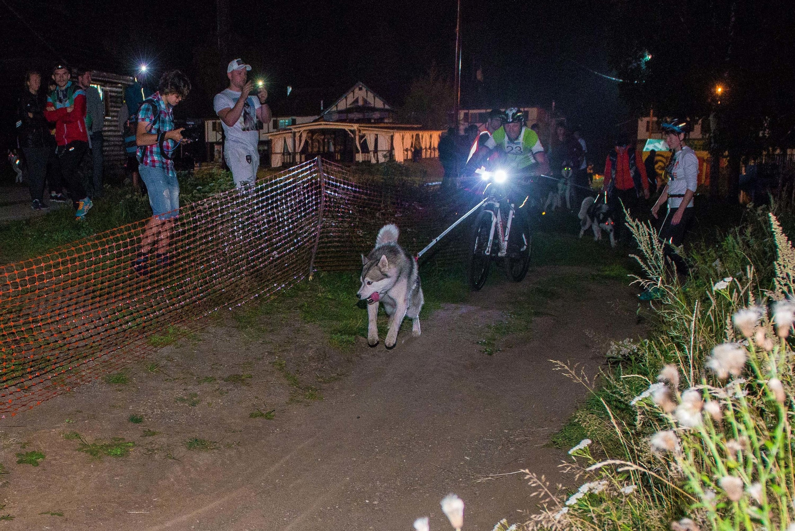 Дог-фестиваль 02.09.2017 Уктус Ночной след. Свадебный фотограф на Урале Виктор Соколов