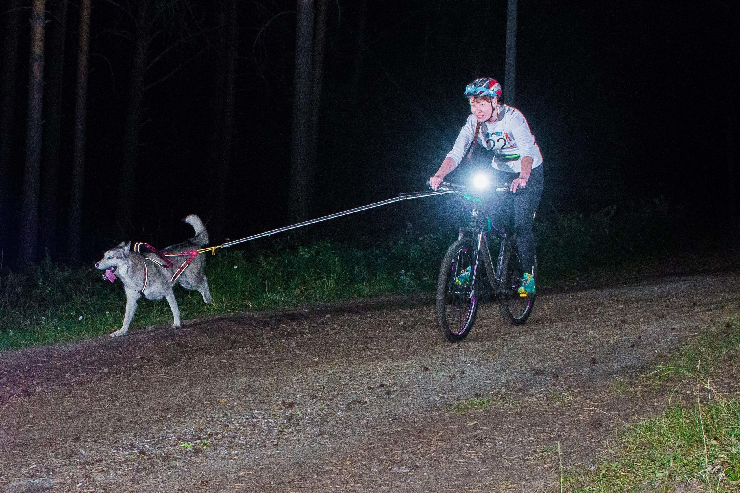 Дог-фестиваль 02.09.2017 Уктус Ночной след. Свадебный фотограф на Урале Виктор Соколов