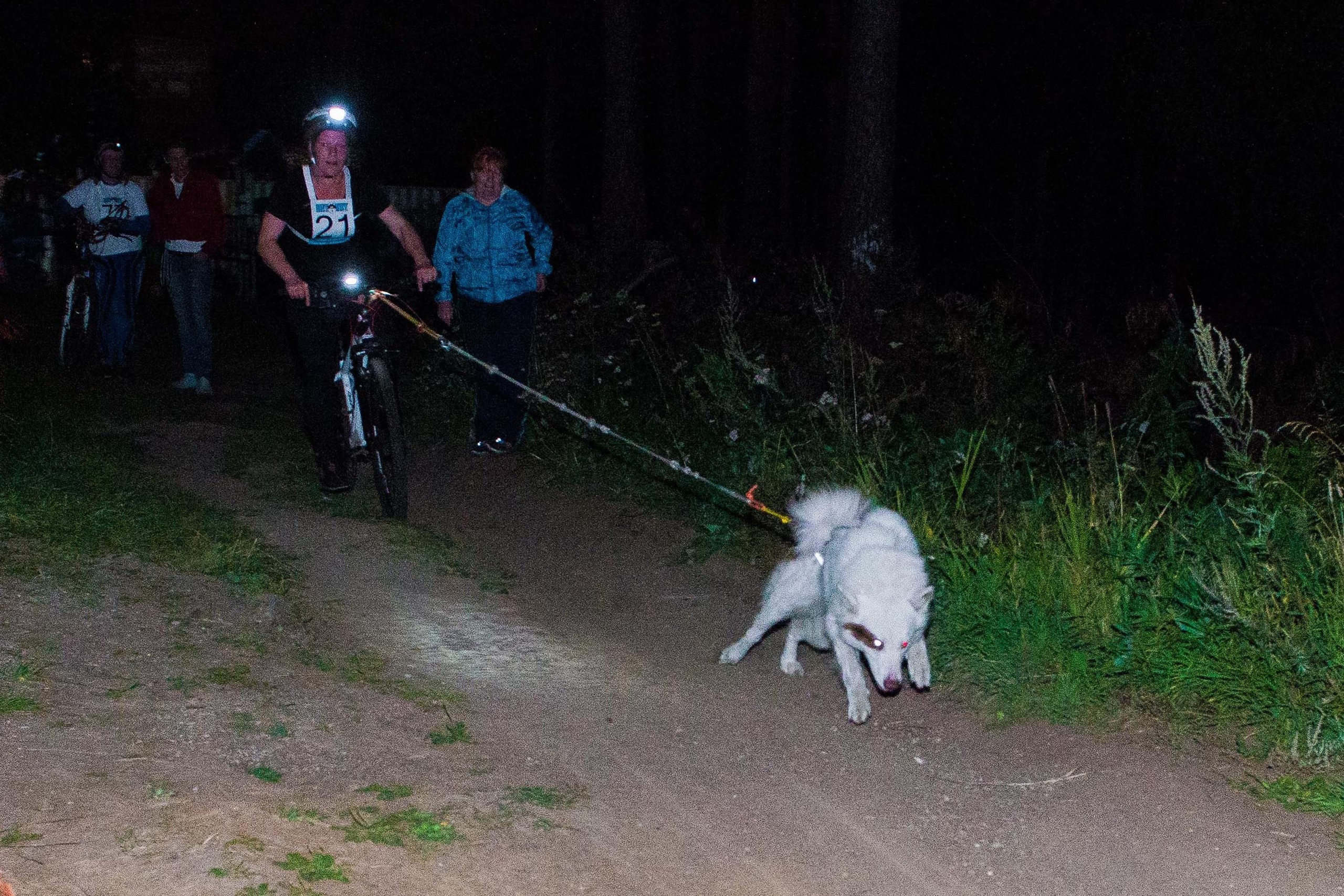 Дог-фестиваль 02.09.2017 Уктус Ночной след. Свадебный фотограф на Урале Виктор Соколов