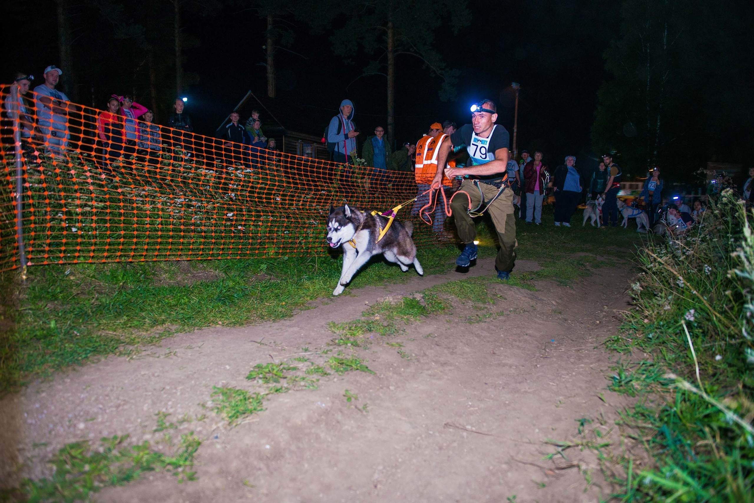 Дог-фестиваль 02.09.2017 Уктус Ночной след. Свадебный фотограф на Урале Виктор Соколов