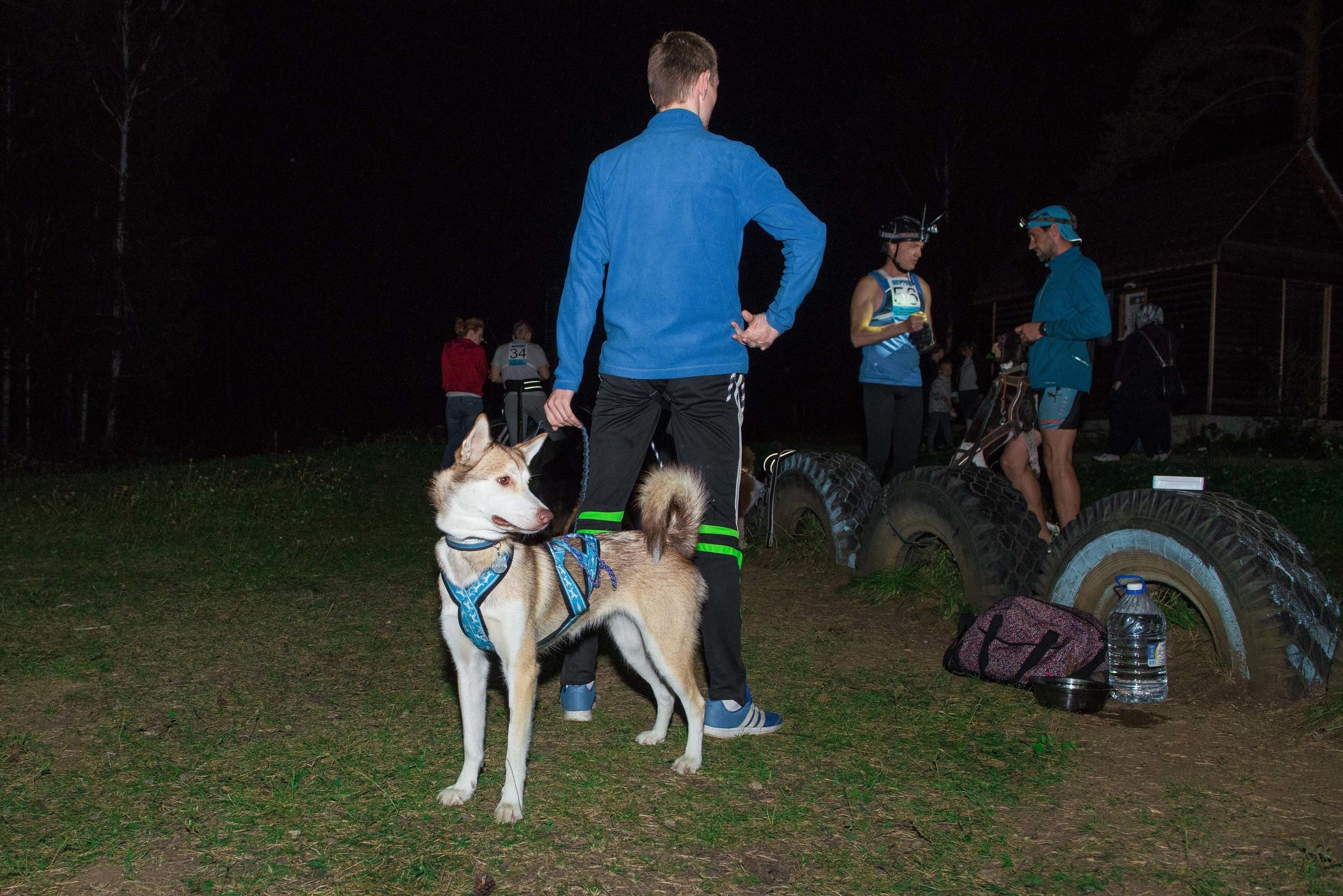 Дог-фестиваль 02.09.2017 Уктус Ночной след. Свадебный фотограф на Урале Виктор Соколов
