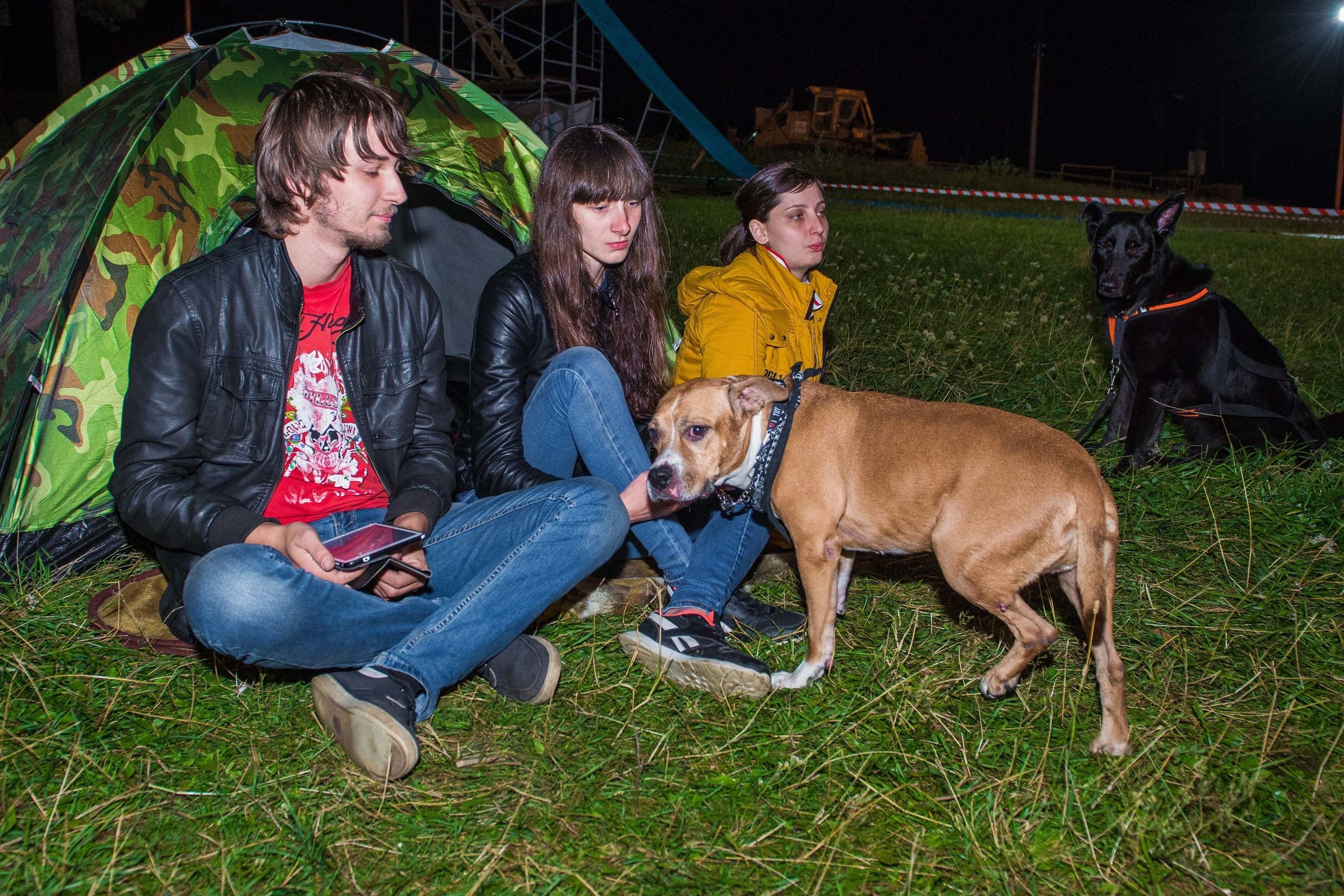 Дог-фестиваль 02.09.2017 Уктус Ночной след. Свадебный фотограф на Урале Виктор Соколов