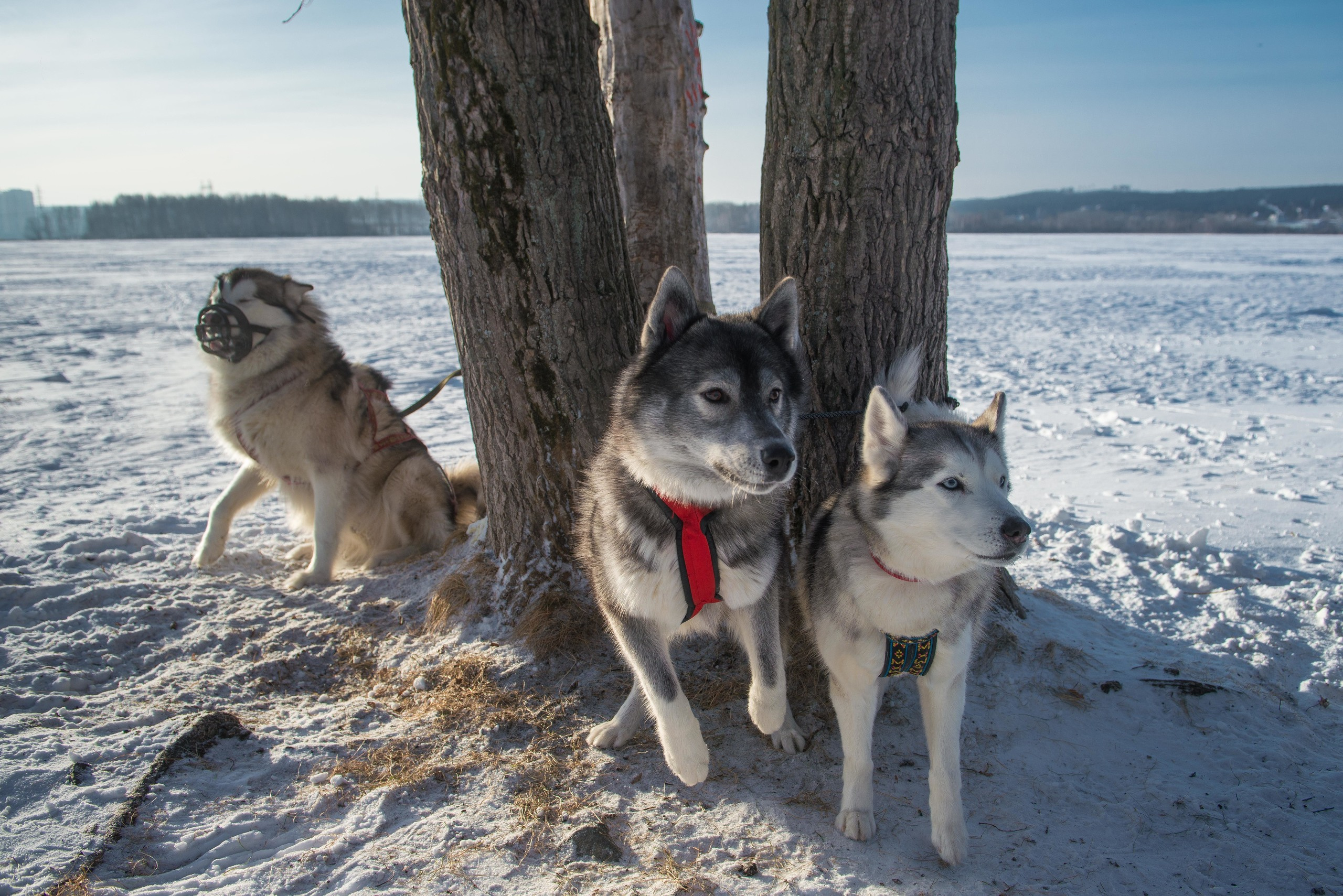 10 лет клубу Хэй-Хэй. Свадебный фотограф на Урале Виктор Соколов