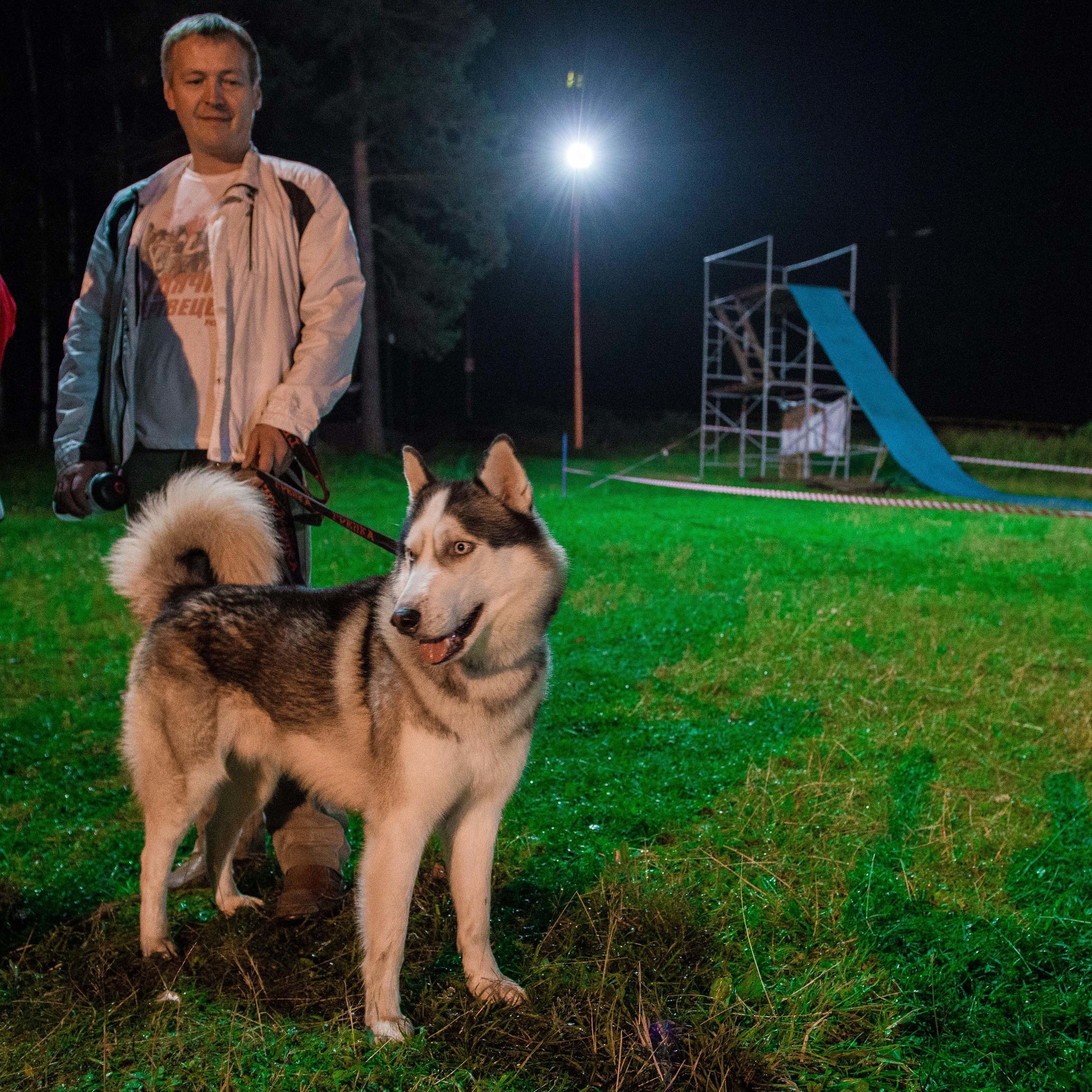 Дог-фестиваль 02.09.2017 Уктус Ночной след. Свадебный фотограф на Урале Виктор Соколов