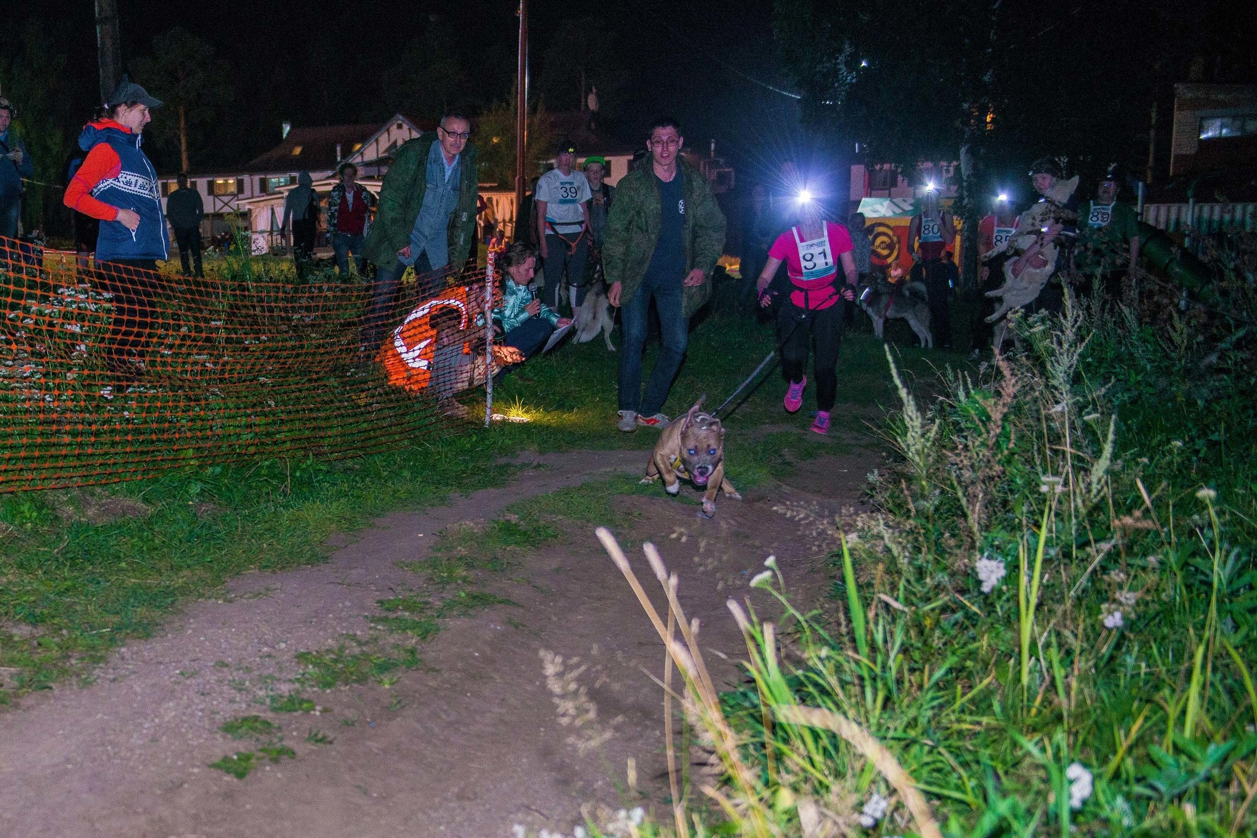 Дог-фестиваль 02.09.2017 Уктус Ночной след. Свадебный фотограф на Урале Виктор Соколов