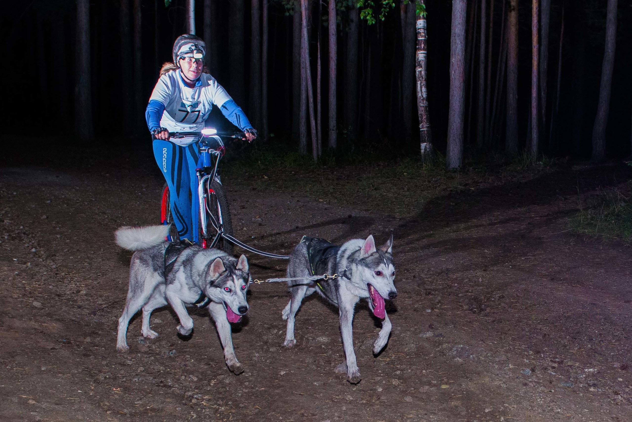 Дог-фестиваль 02.09.2017 Уктус Ночной след. Свадебный фотограф на Урале Виктор Соколов