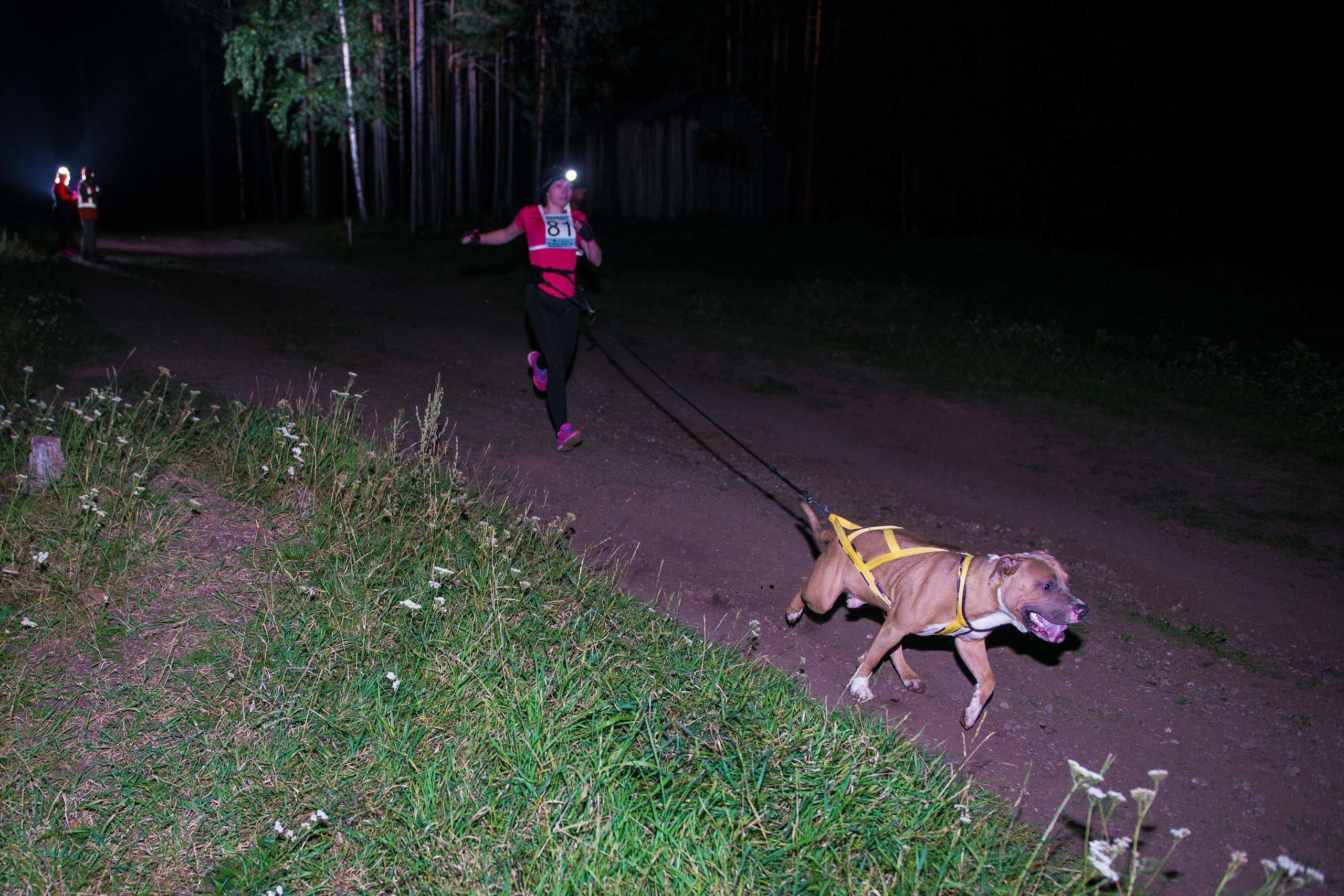 Дог-фестиваль 02.09.2017 Уктус Ночной след. Свадебный фотограф на Урале Виктор Соколов