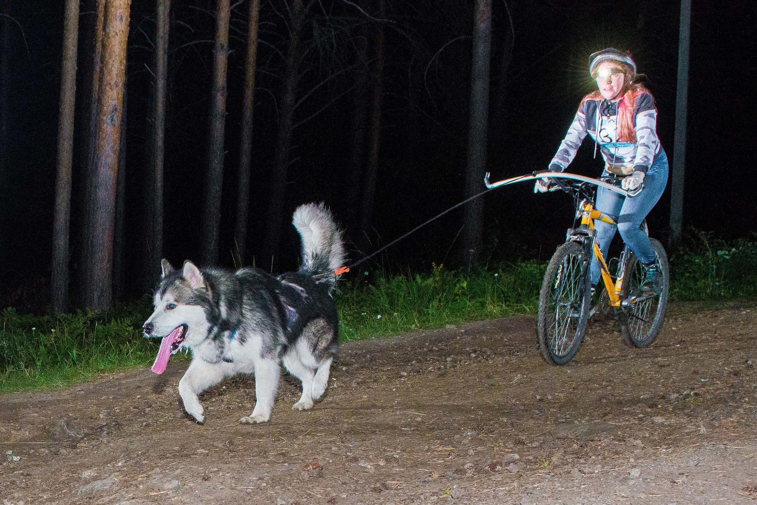 Дог-фестиваль 02.09.2017 Уктус Ночной след. Свадебный фотограф на Урале Виктор Соколов