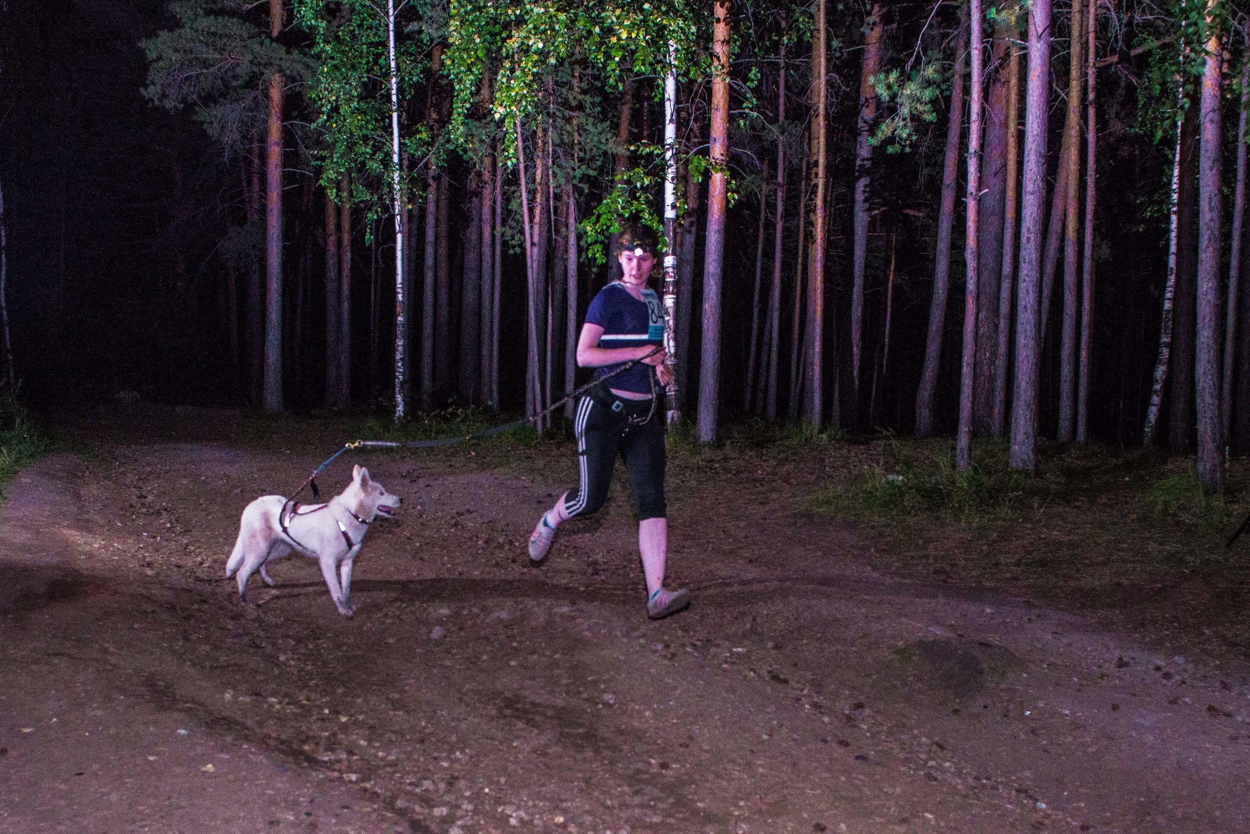 Дог-фестиваль 02.09.2017 Уктус Ночной след. Свадебный фотограф на Урале Виктор Соколов