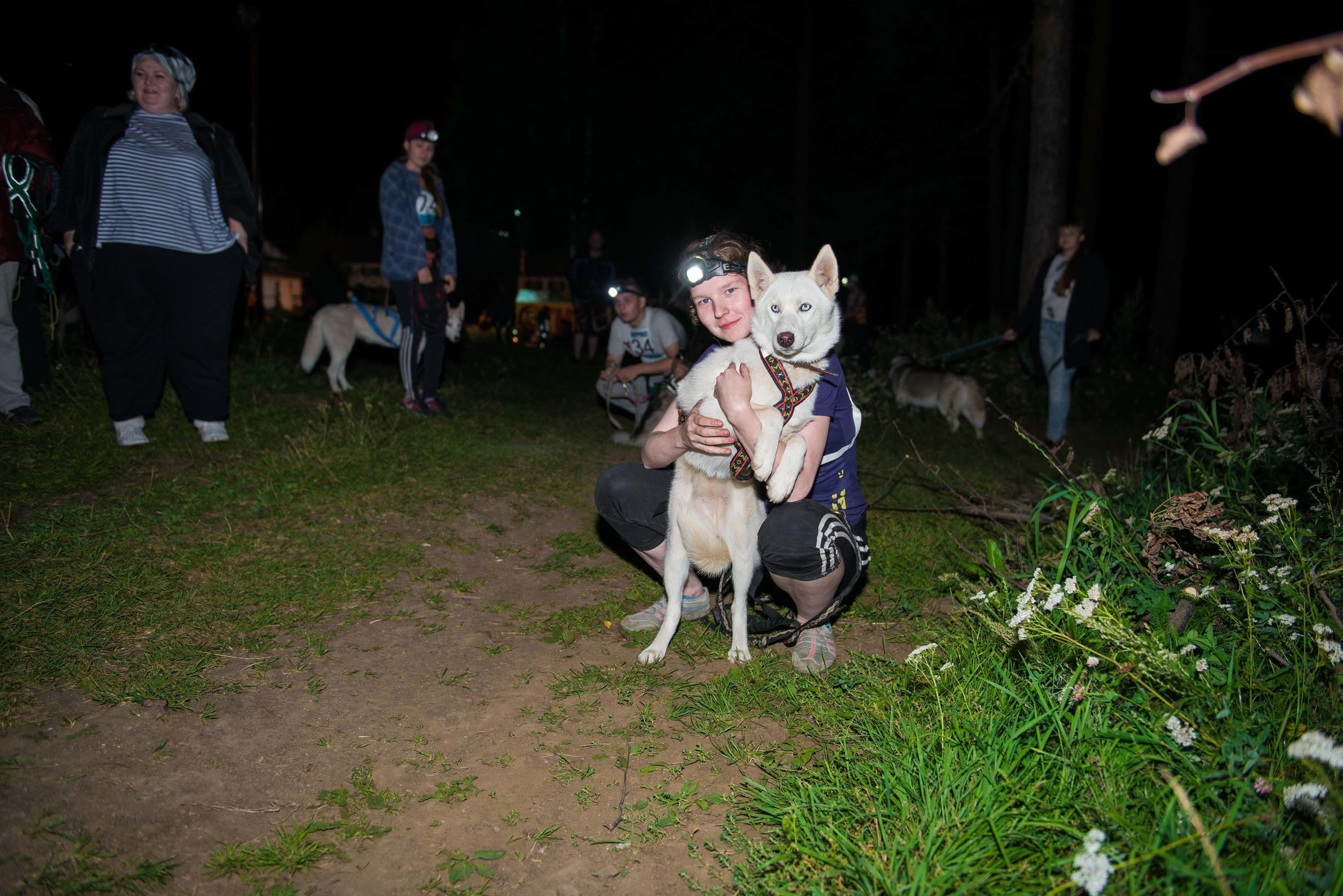 Дог-фестиваль 02.09.2017 Уктус Ночной след. Свадебный фотограф на Урале Виктор Соколов