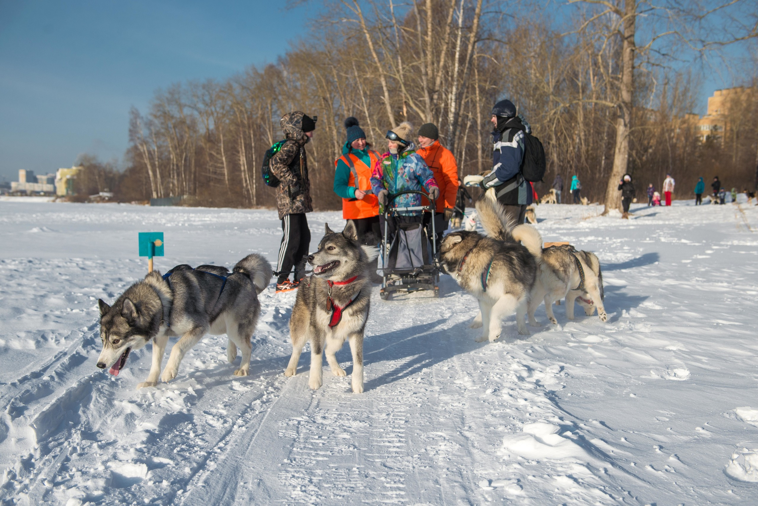 10 лет клубу Хэй-Хэй. Свадебный фотограф на Урале Виктор Соколов