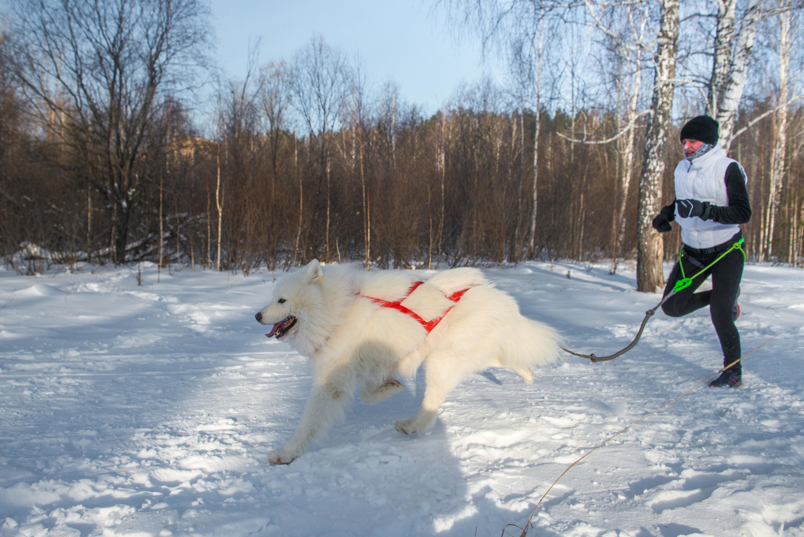10 лет клубу Хэй-Хэй. Свадебный фотограф на Урале Виктор Соколов