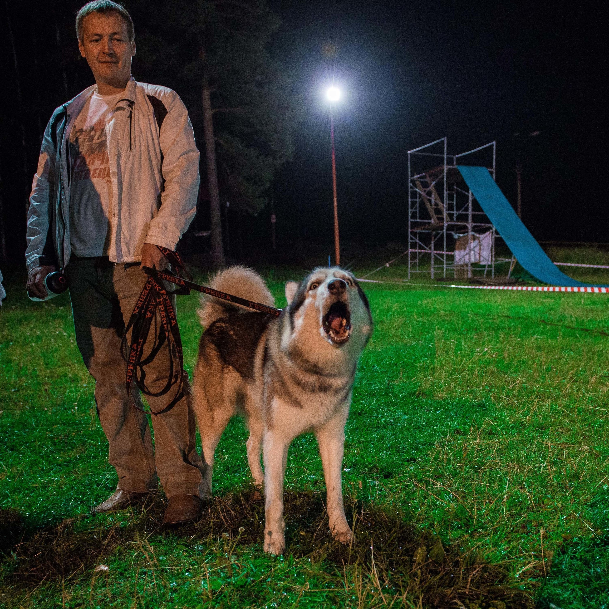 Дог-фестиваль 02.09.2017 Уктус Ночной след. Свадебный фотограф на Урале Виктор Соколов