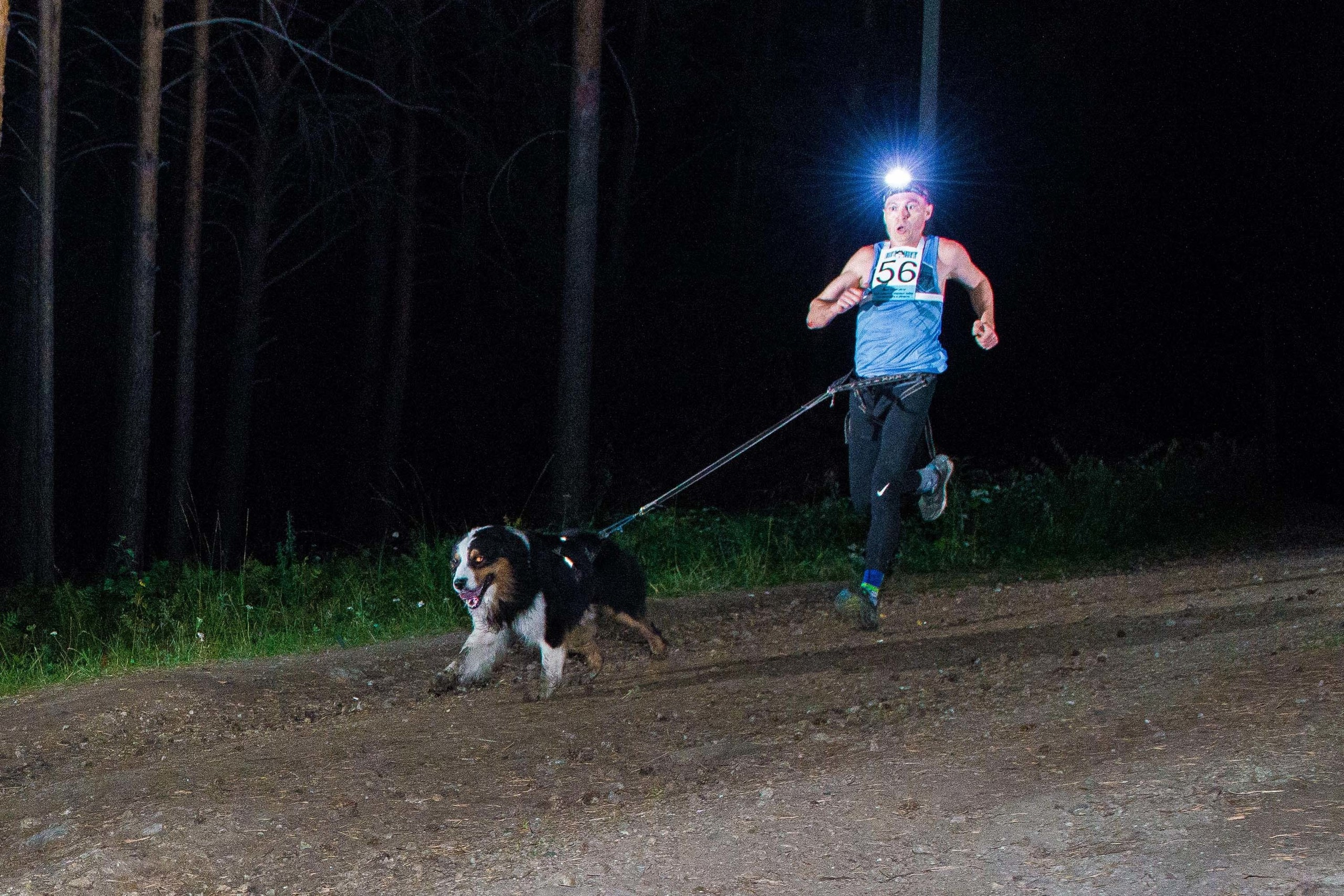Дог-фестиваль 02.09.2017 Уктус Ночной след. Свадебный фотограф на Урале Виктор Соколов
