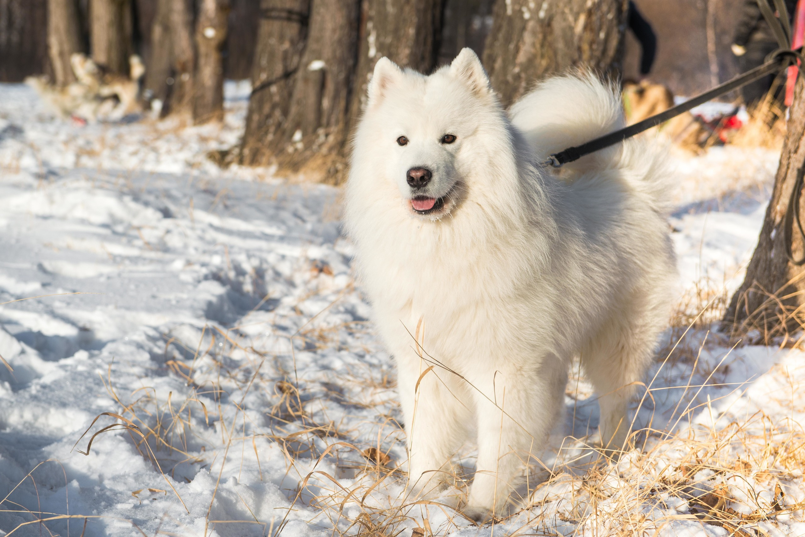 10 лет клубу Хэй-Хэй. Свадебный фотограф на Урале Виктор Соколов