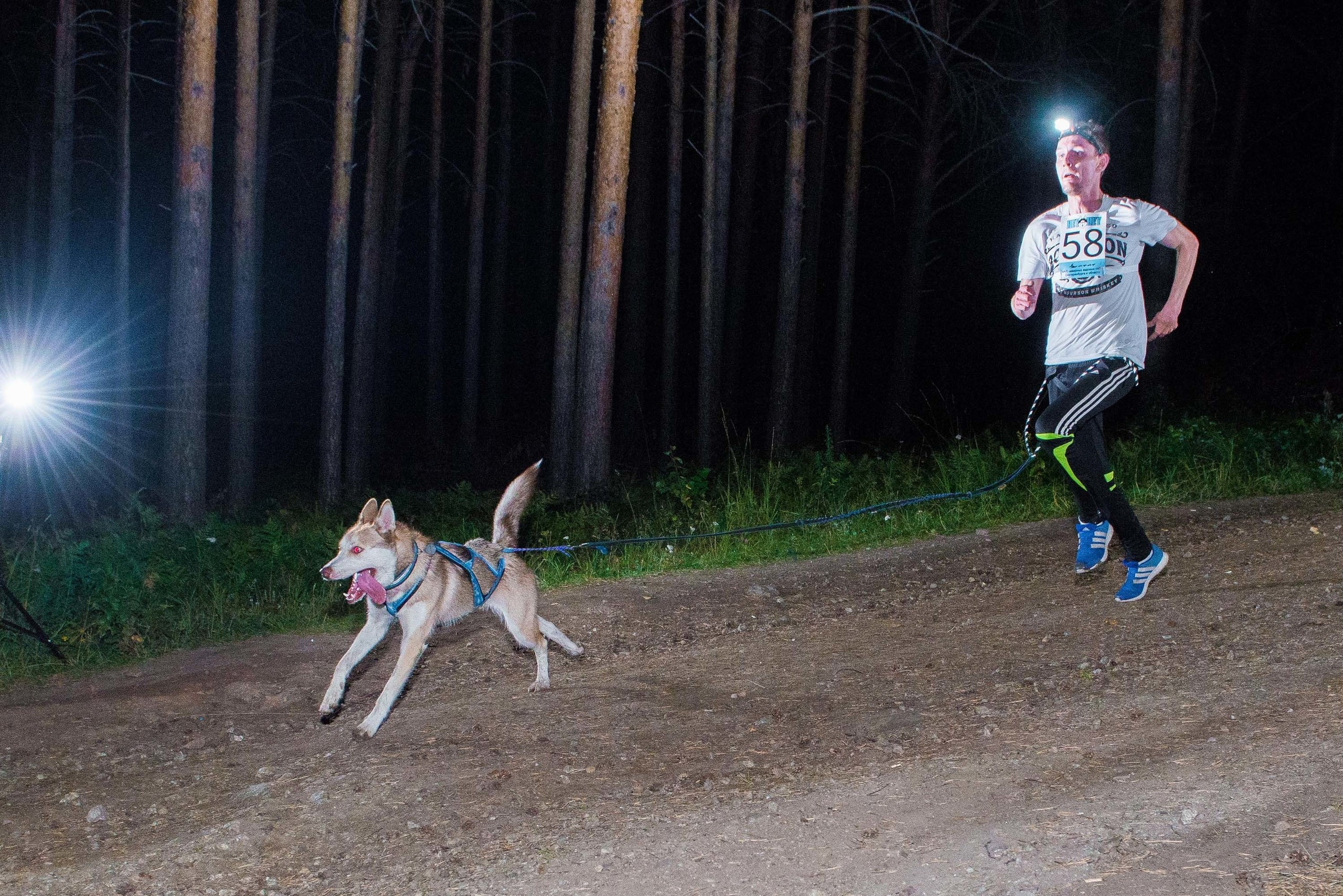 Дог-фестиваль 02.09.2017 Уктус Ночной след. Свадебный фотограф на Урале Виктор Соколов