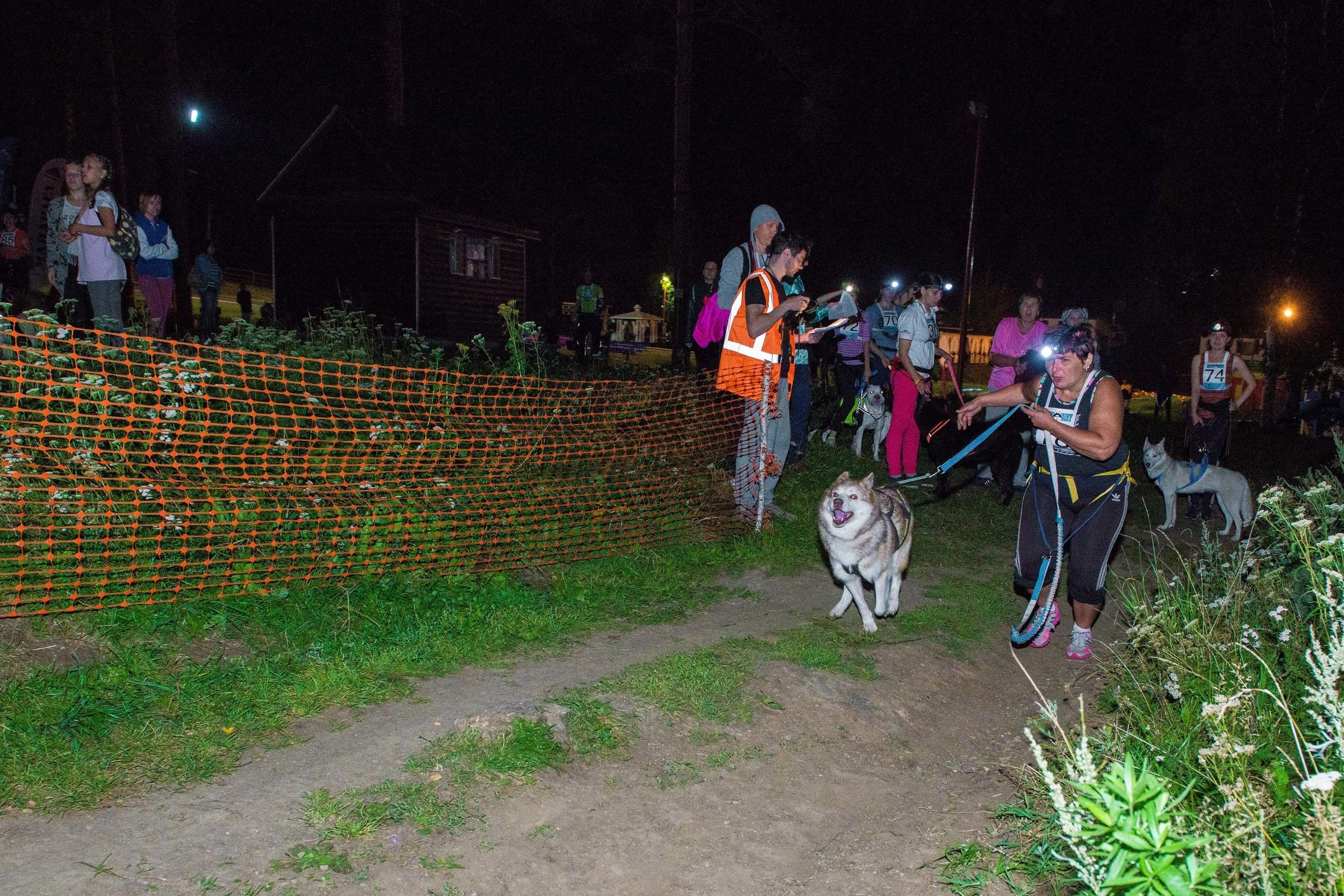 Дог-фестиваль 02.09.2017 Уктус Ночной след. Свадебный фотограф на Урале Виктор Соколов