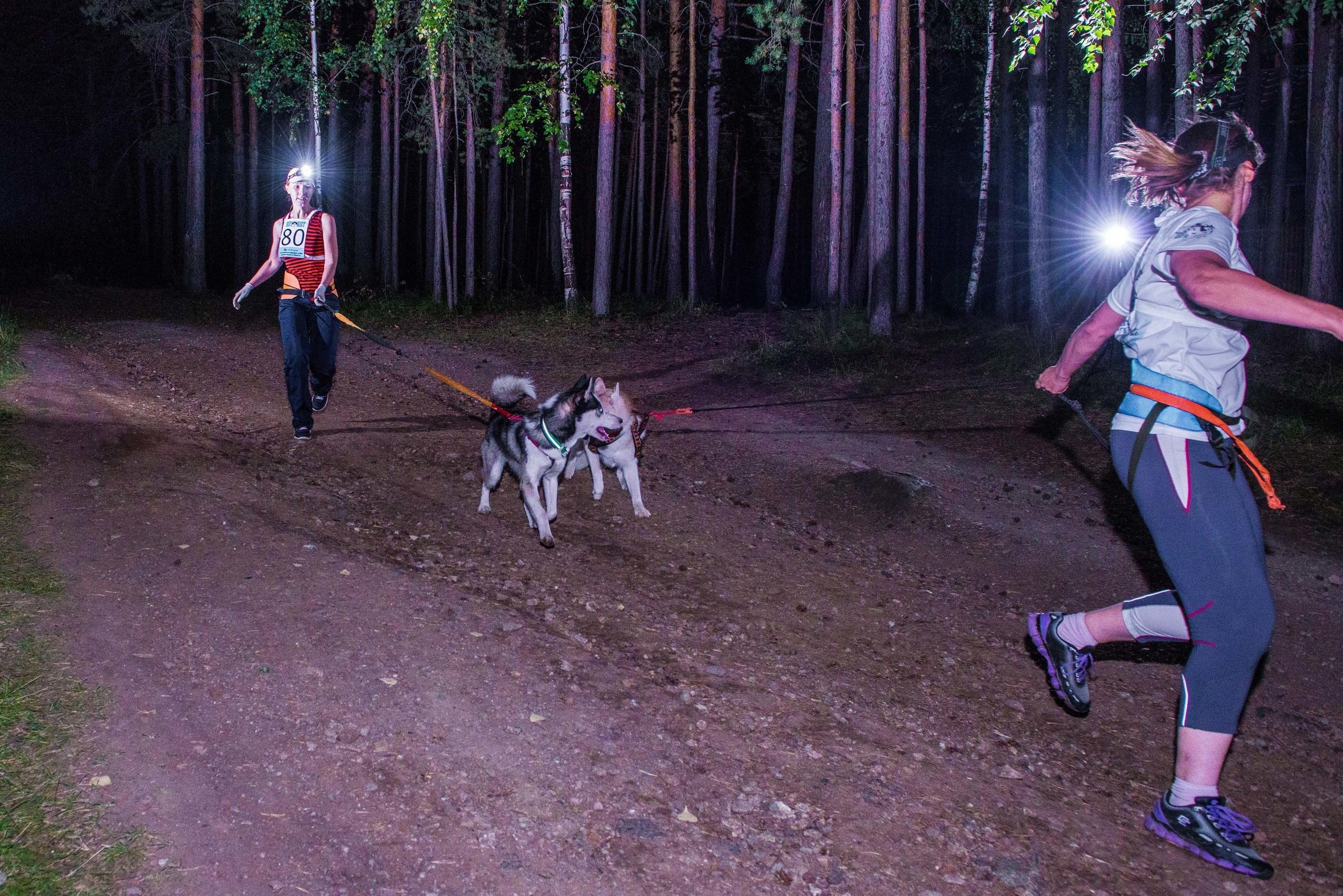 Дог-фестиваль 02.09.2017 Уктус Ночной след. Свадебный фотограф на Урале Виктор Соколов