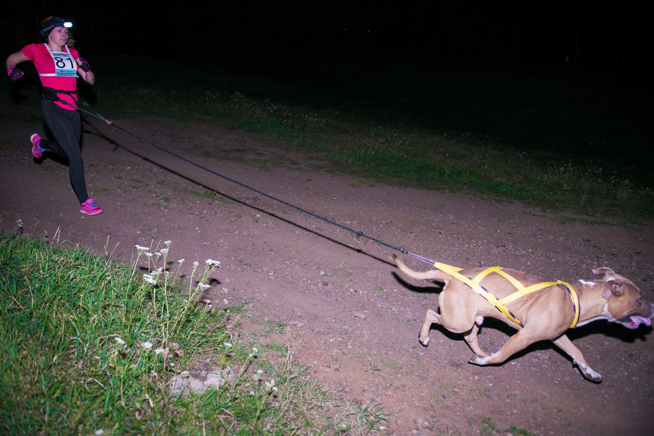 Дог-фестиваль 02.09.2017 Уктус Ночной след. Свадебный фотограф на Урале Виктор Соколов