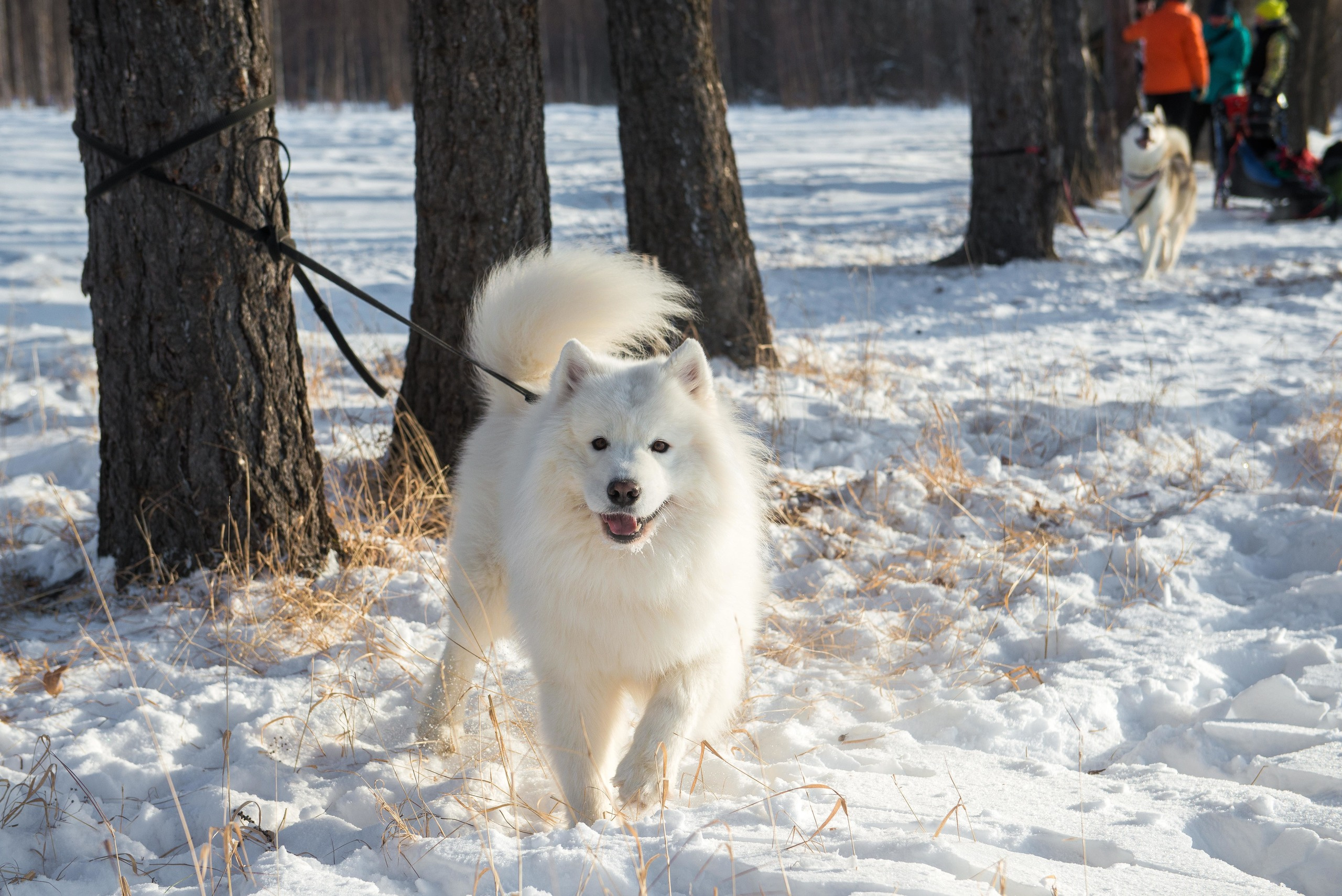 10 лет клубу Хэй-Хэй. Свадебный фотограф на Урале Виктор Соколов