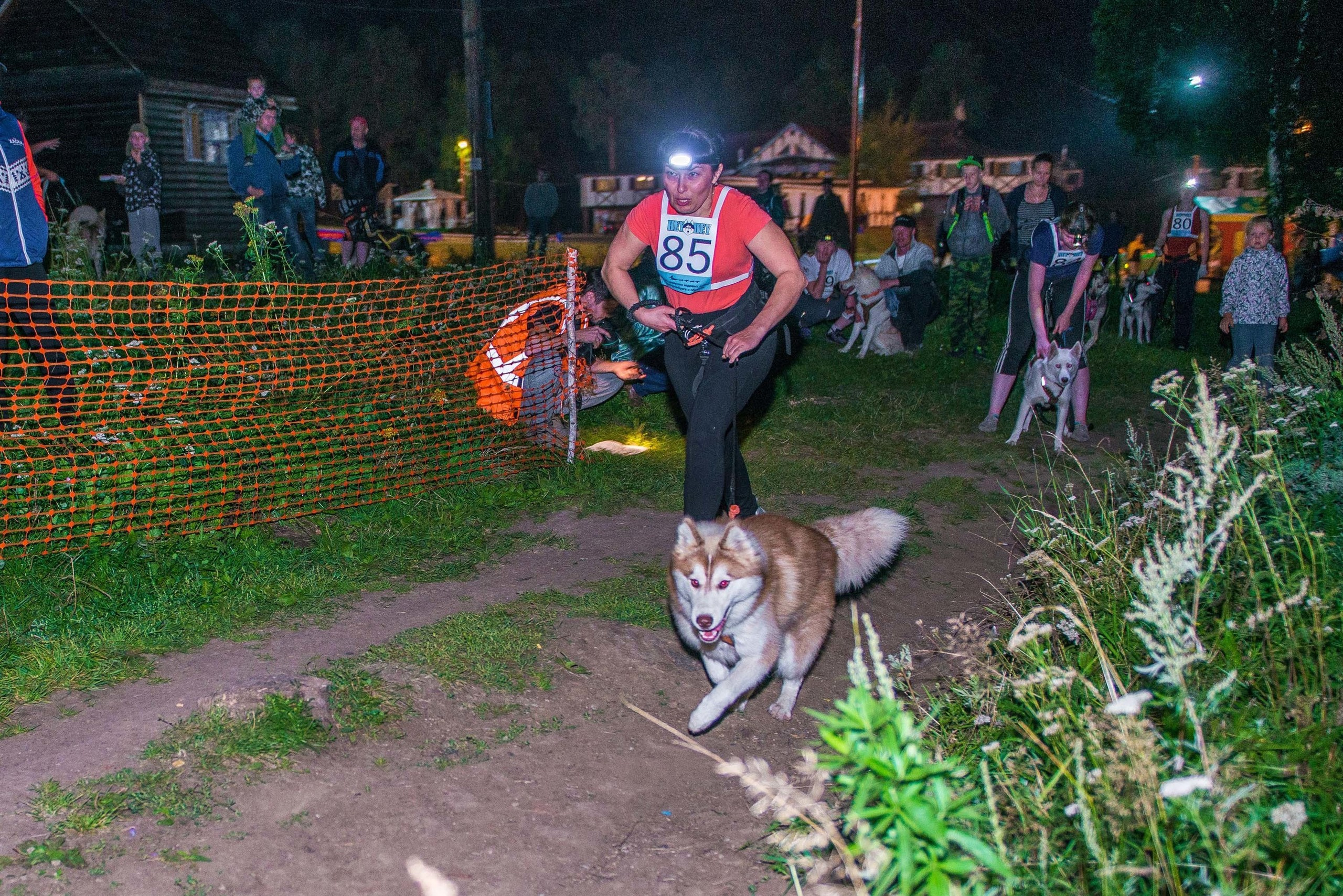 Дог-фестиваль 02.09.2017 Уктус Ночной след. Свадебный фотограф на Урале Виктор Соколов