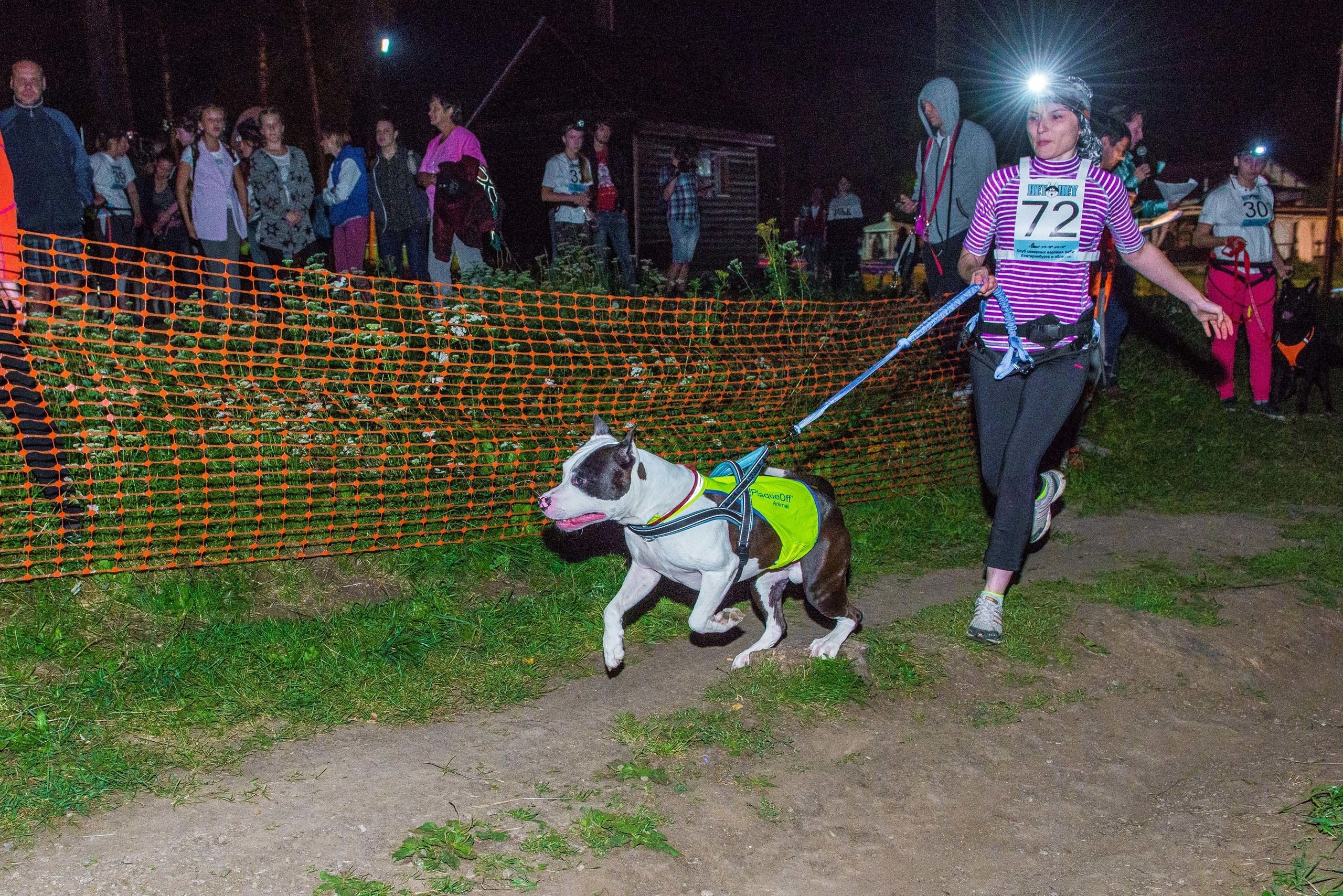 Дог-фестиваль 02.09.2017 Уктус Ночной след. Свадебный фотограф на Урале Виктор Соколов